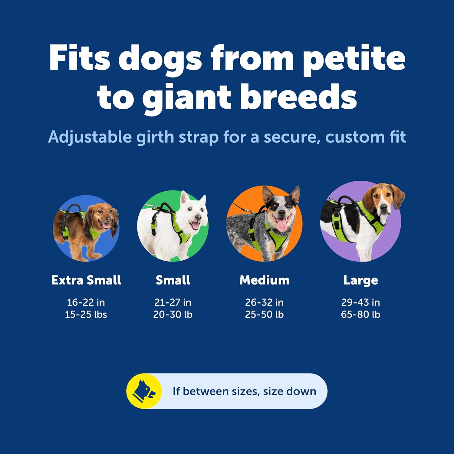 Petsafe Easysport Dog Harness, Adjustable Padded Dog Harness with Control Handle and Reflective Piping, from the Makers of the Easy Walk Harness,Pink,Medium image number 1