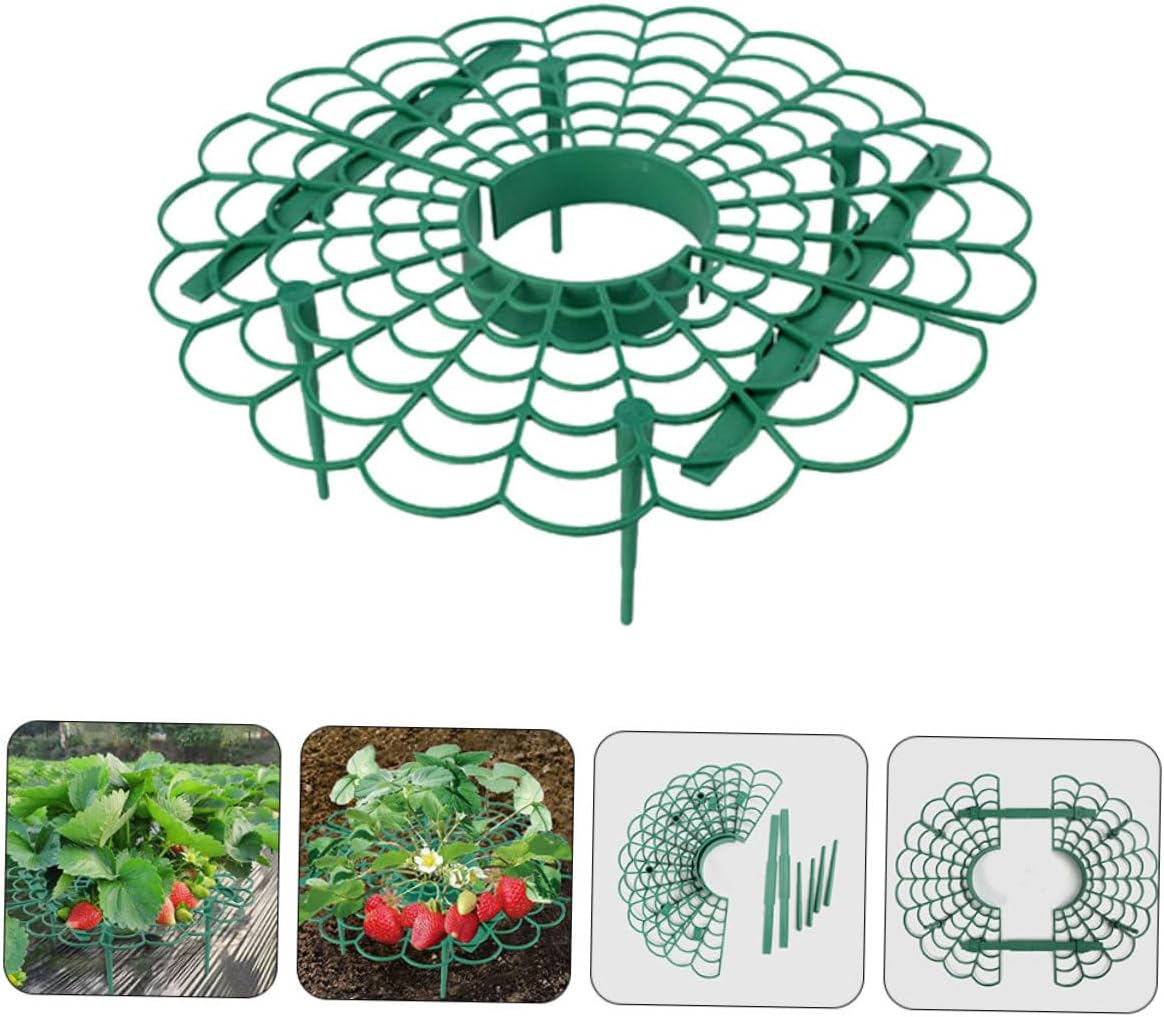 MINAOLULUS 6Pcs Strawberry Support Rack Strawberry Holder for Improved Air Circulation for Balcony Gardening and Plant Growth