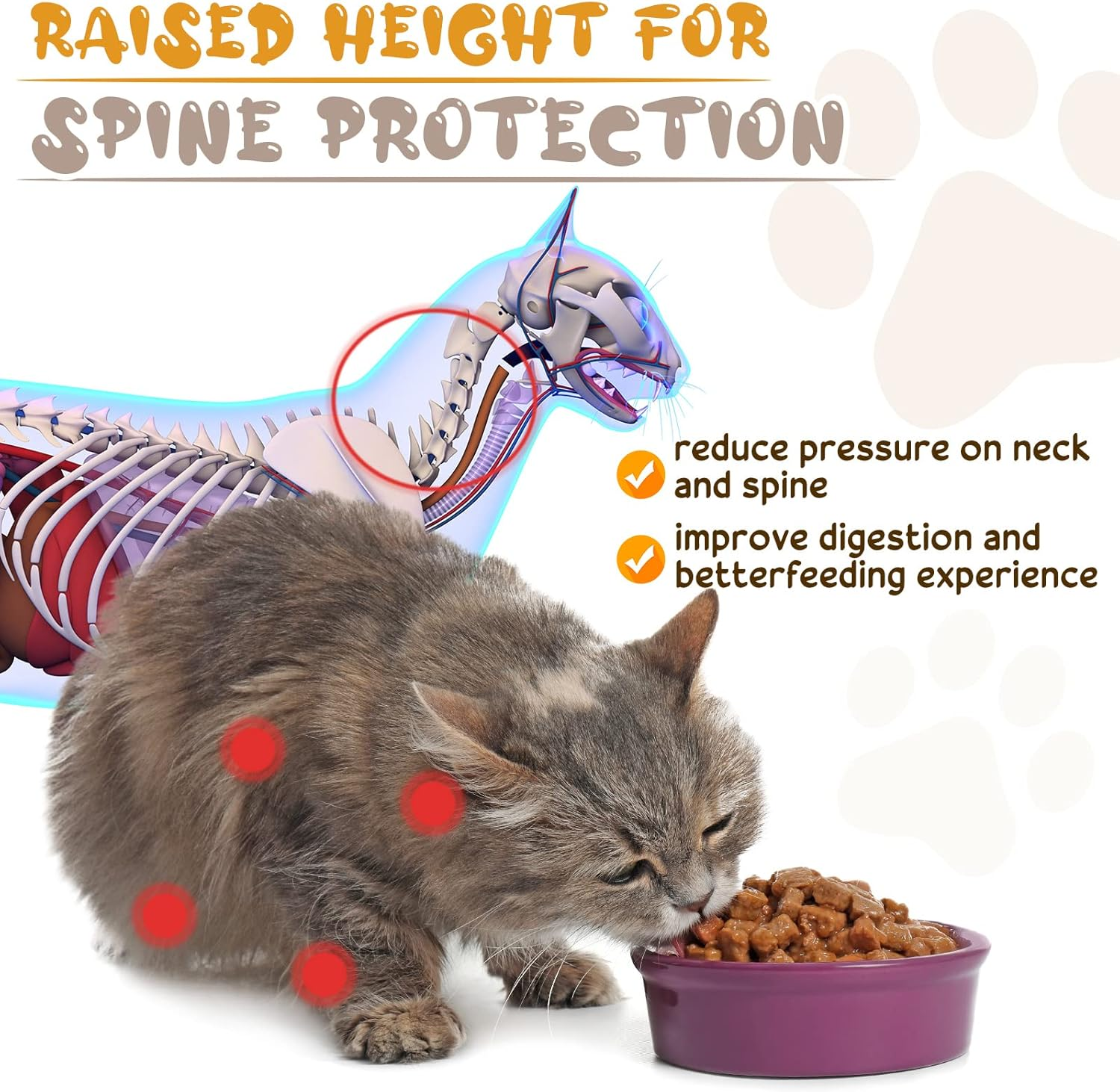 Roshtia 4 Sets Elevated Cat Bowls Ceramic Raised Cat Food Bowls with Metal Stand Dishwasher Safe Dishes Non Slip Elevated Food Plate(Black,Paw) image number 4