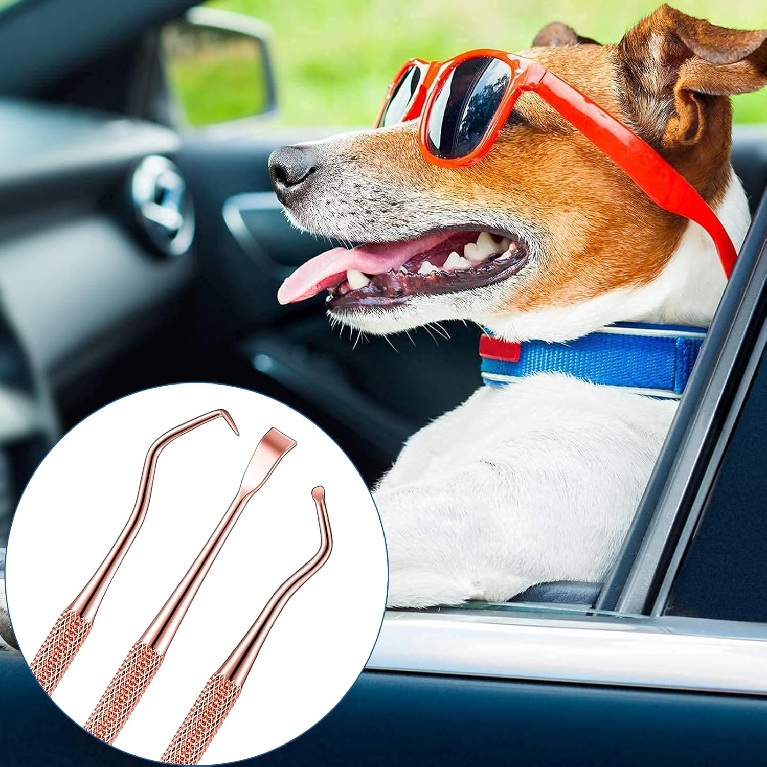 Hotop 3 Pieces Dog Dental Tooth Scaler and Scraper Stainless Double Headed Tarter Removing Tool Scraper Pet Teeth Cleaning Tools for Dog and Cat (Rose Gold) image number 4