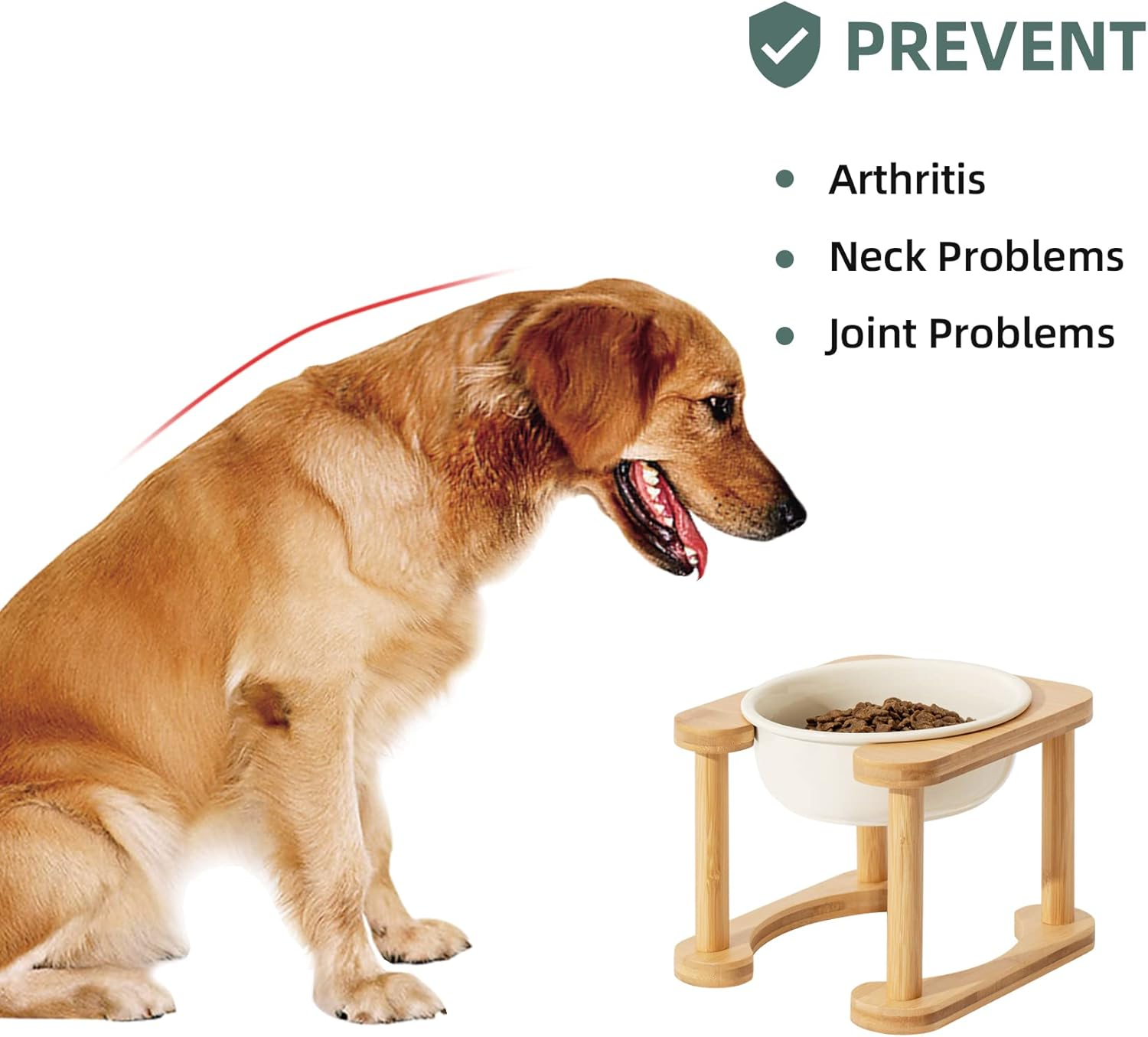 Havniva Ceramics Raised Dog Bowl with Non-Slip Stand Elevated Dog Bowl for Medium Dog Food and Water Bowl Dog Dish Pet Feeding Bowl (Single 6.9" Bowl, Cream White) image number 4