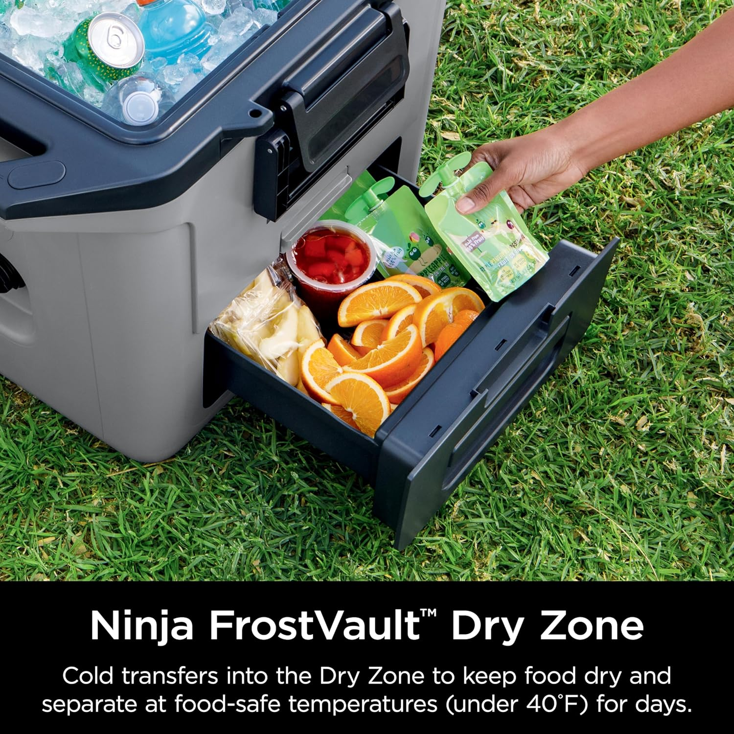 Ninja FB131GY Frostvault Hard Cooler with Dry Zone image number 7