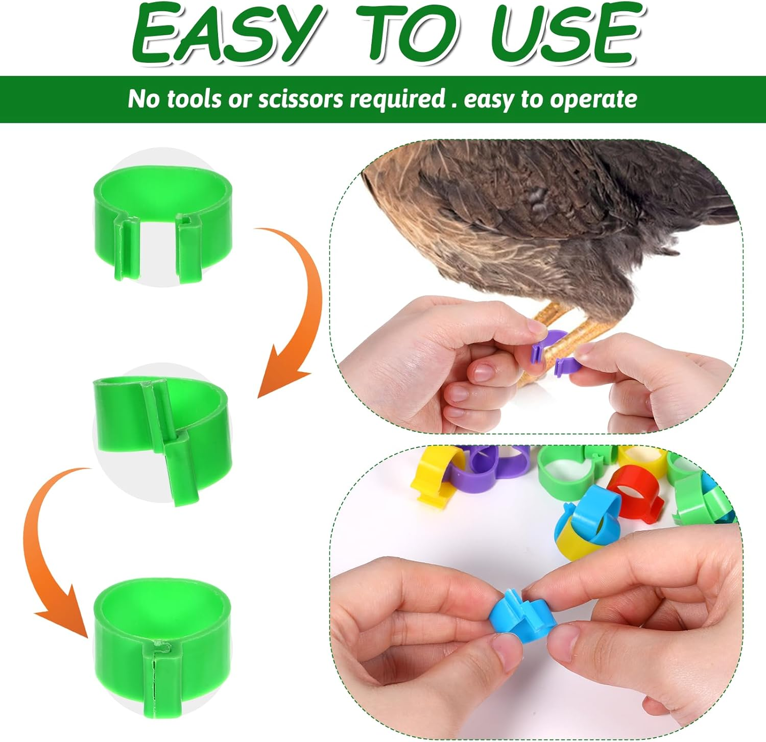 Chicken Leg Bands, 100 Pcs Chicken Leg Rings Identification Band 10 Colors Chick Tags for Legs Poultry Foot Rings Legs Bands for Poultry Identification (16Mm) image number 6