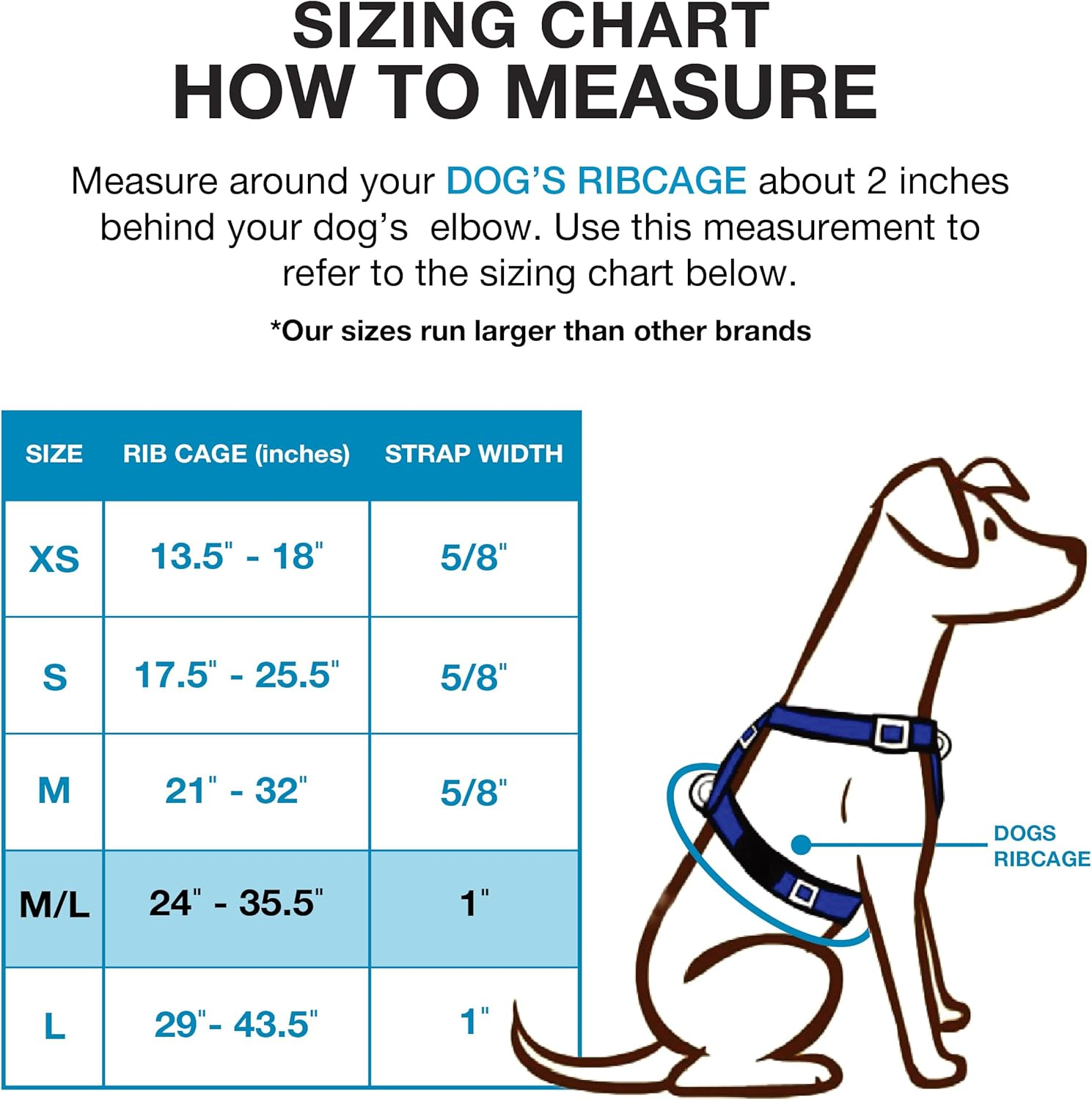 Blue-9 Balance Harness Buckle Neck, Medium/Large, Sky Blue