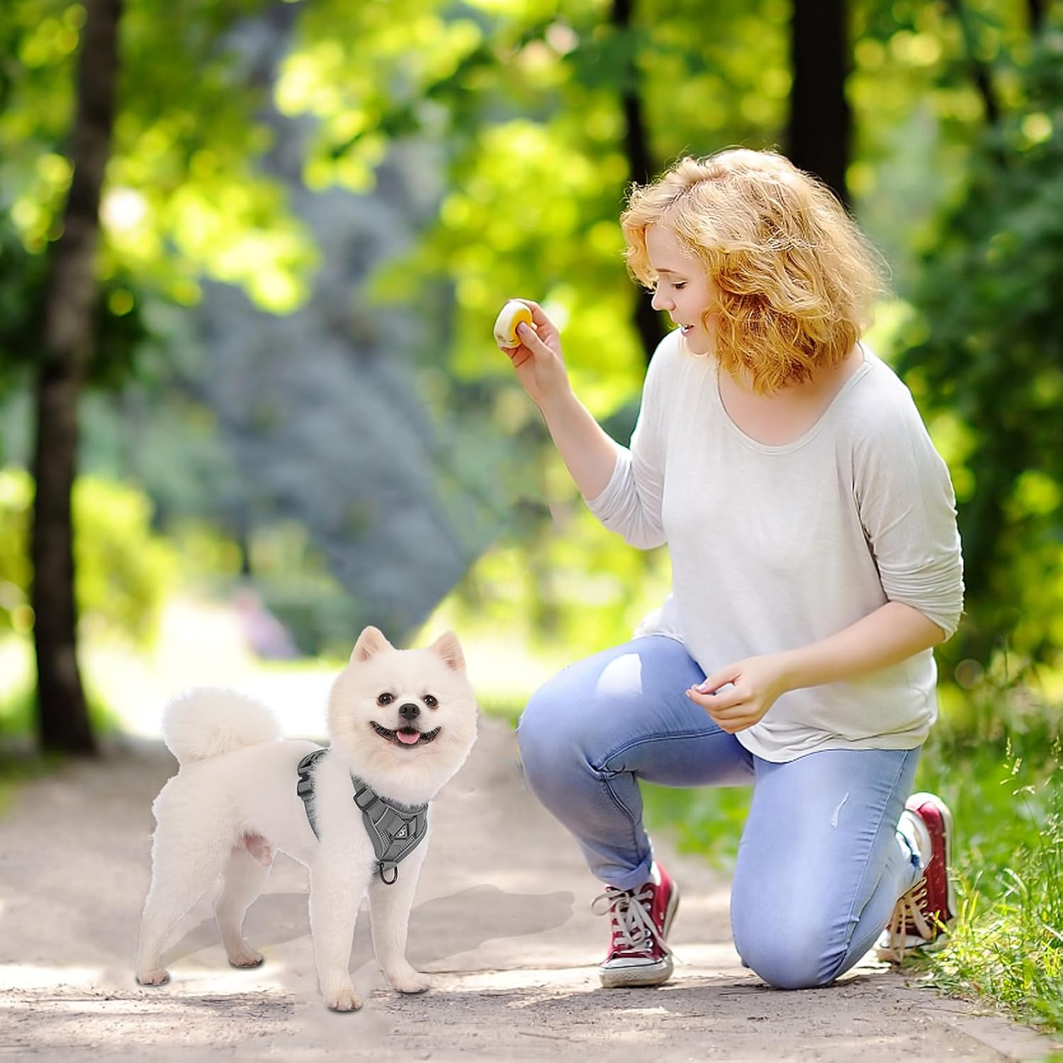 Dog Harness for No Medium and Large Dogs, Breathable Dog Chest Harness with 1.5 M Lead, Soft Pet Harness, Vest, Reflective, Puppy Harness, Adjustable for Training, Walking (XL) image number 1