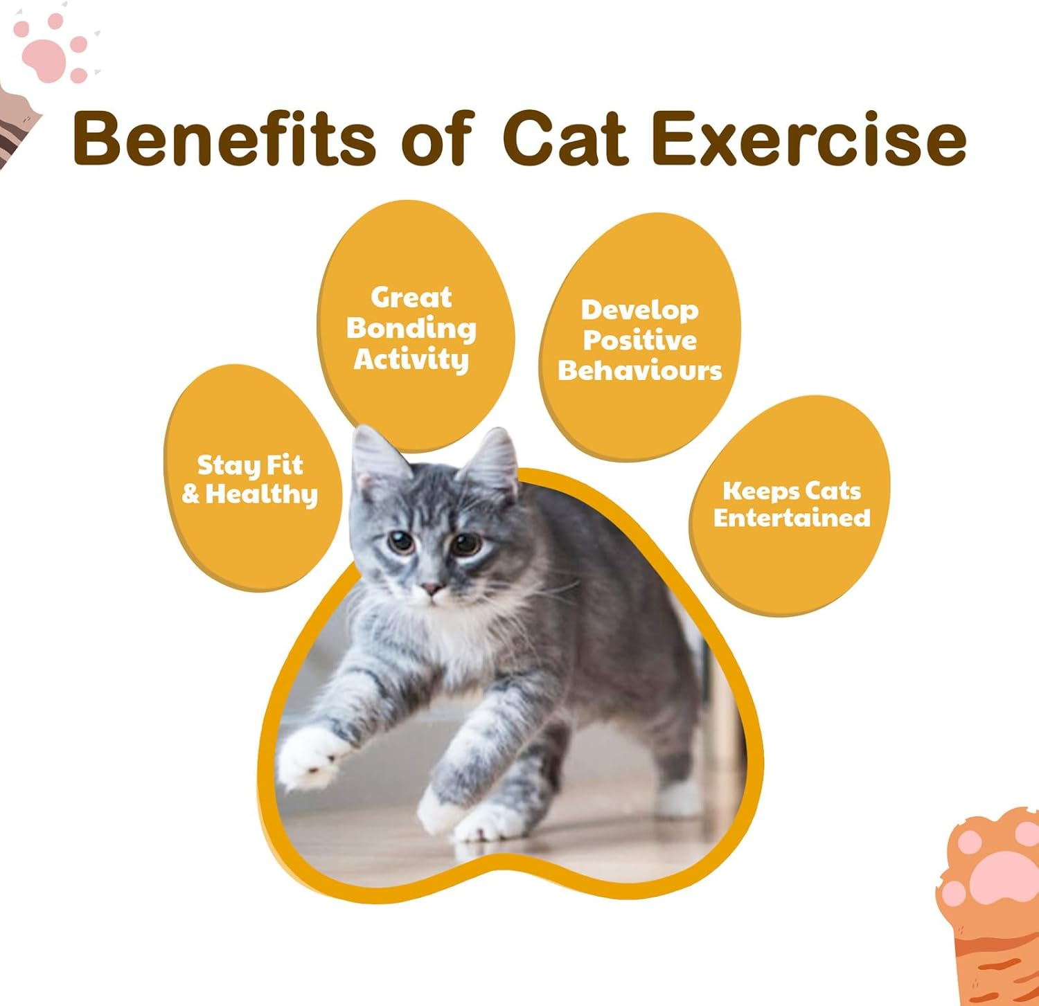 Cat Exercise Wheel Toy Running Exerciser Treadmill Scratcher Board|Cat, Kitten Running Spinning and Scratching Fun Wheel - 110Cm image number 6