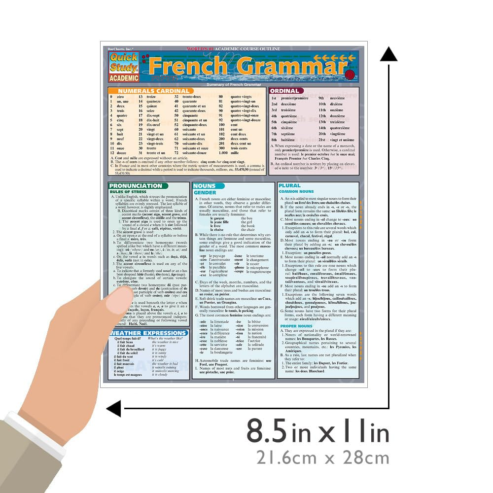 French Grammar image number 4
