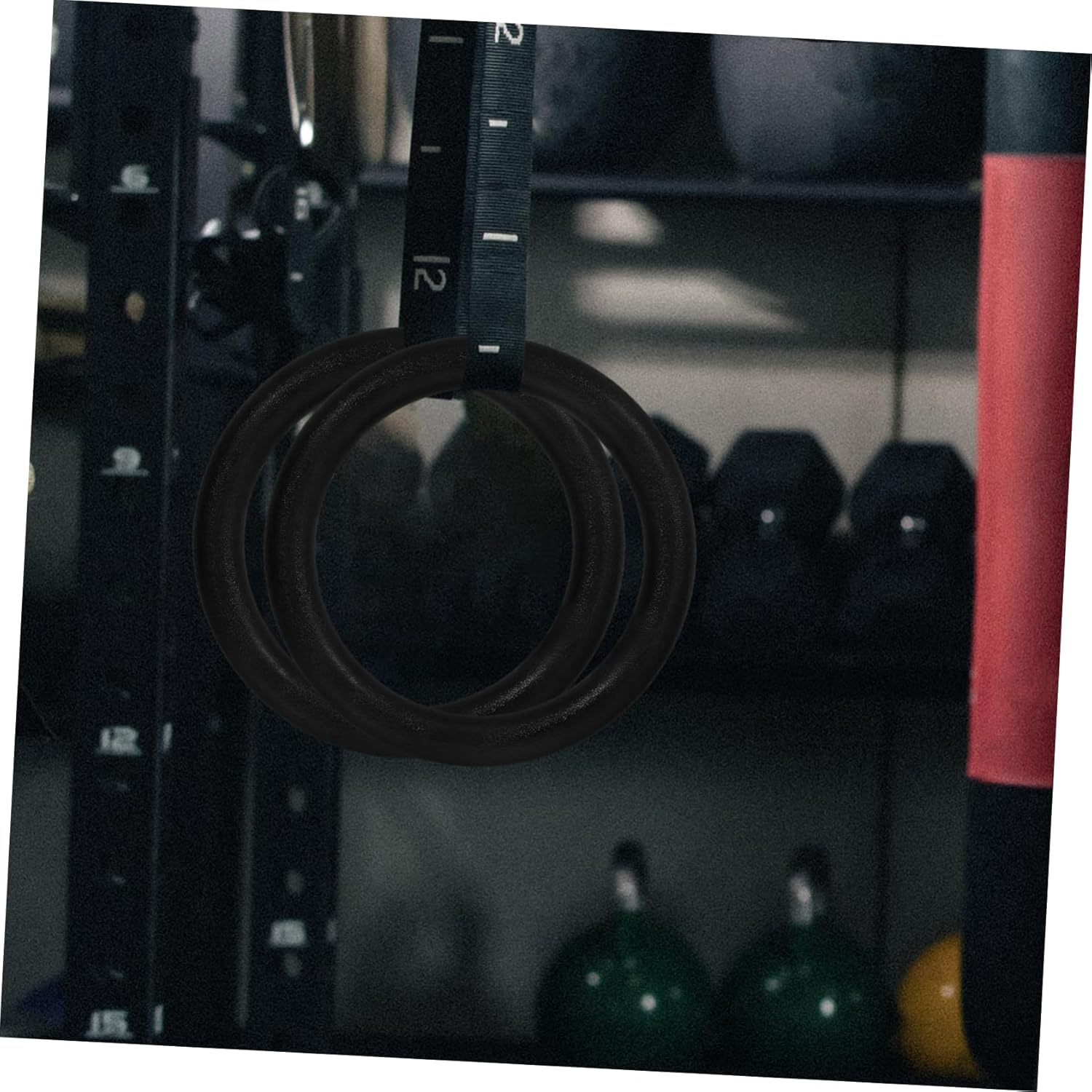 Iplusmile 2Pcs Gymnastic Rings for Strength Training Bodyweight Workouts for Home Gym and Outdoor Use Black image number 3