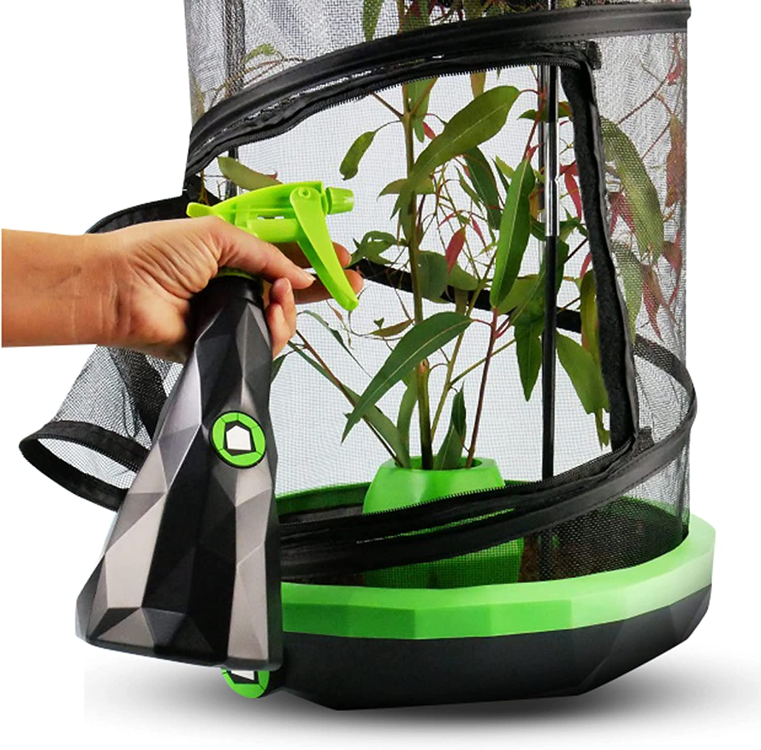 Insectimo Mister Bottle image number 2