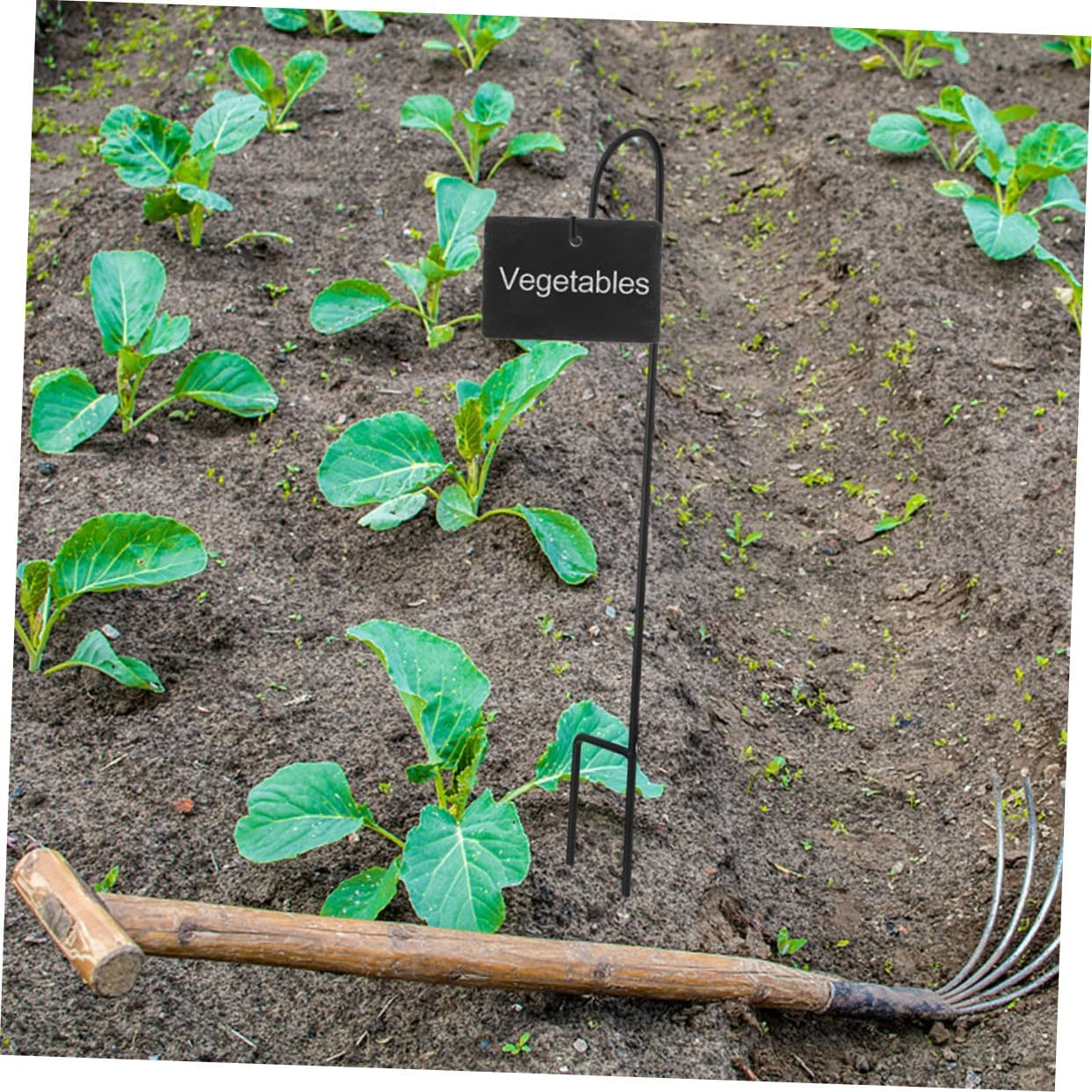 Milisten Shepherd Hook Iron Shepherd Hook for Garden Outdoor Use for Hanging Solar Light Bird Feeder Gardening Decor Pole image number 4