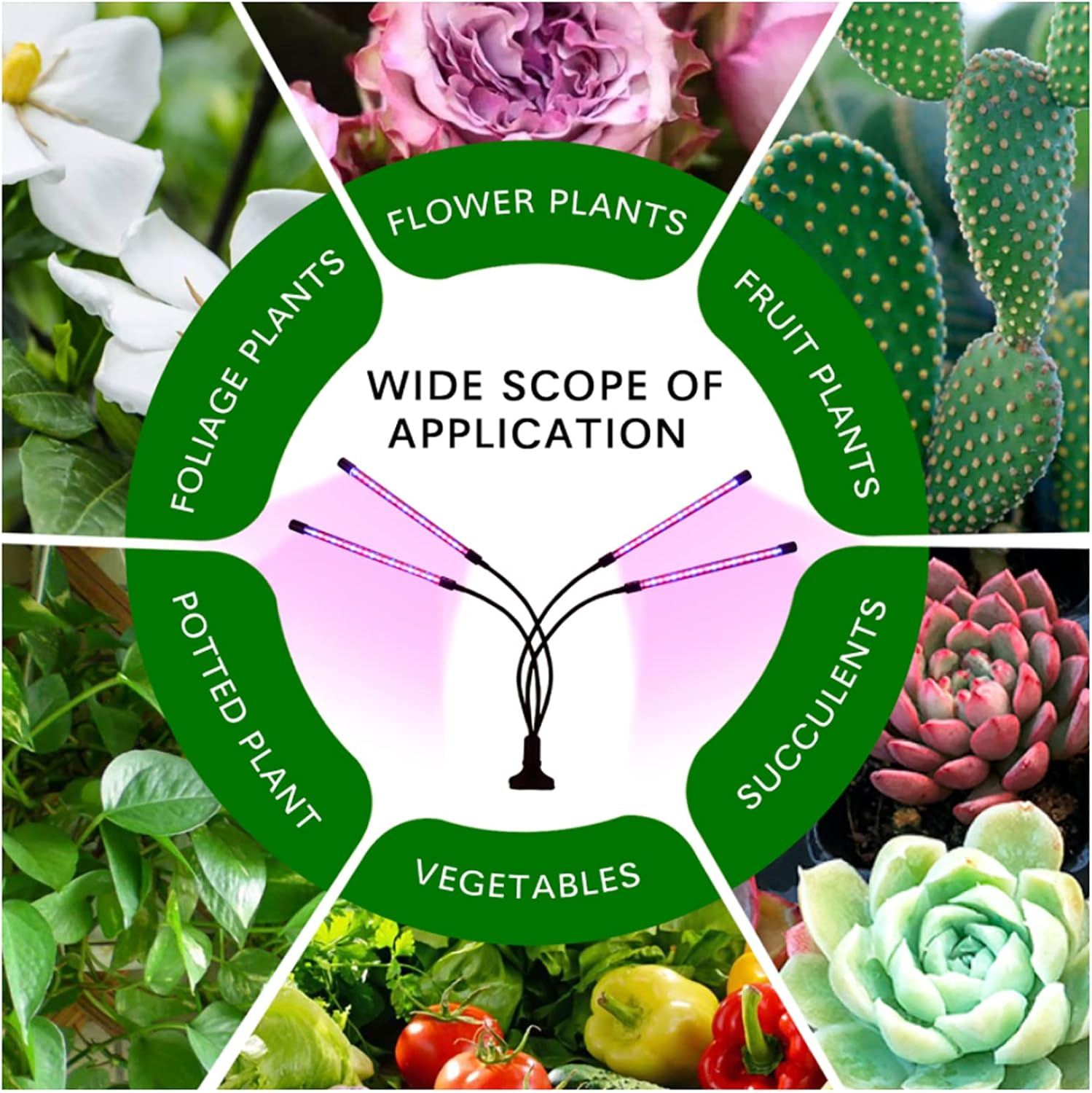 Grow Lights for Indoor Plants, Four Head LED Grow Light with Red & Blue Spectrum for Indoor Plant Growing Lamp, Adjustable Gooseneck, Suitable for Plants Growth (Adaptor NOT Included) image number 5