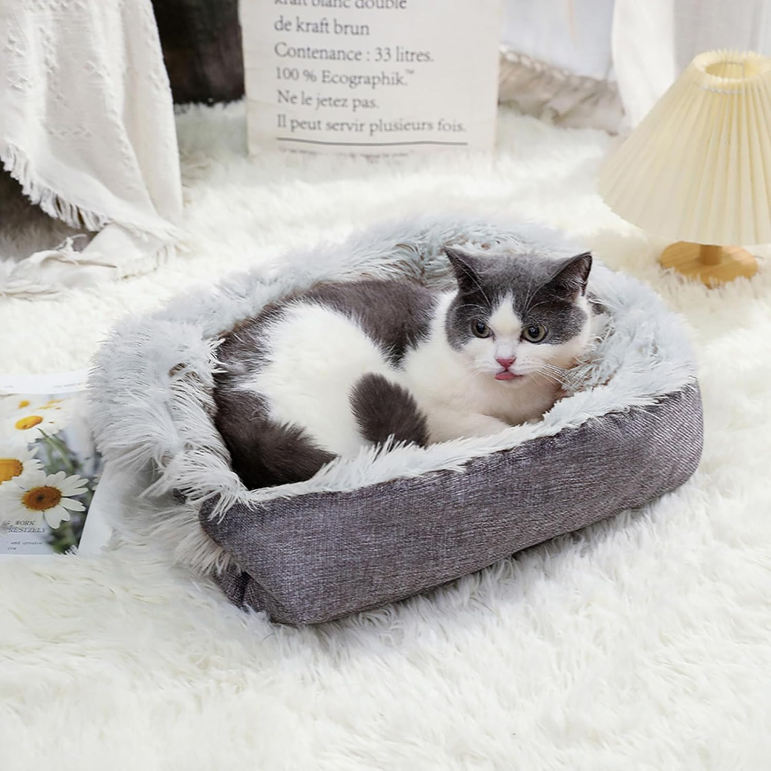 BSITSSS Cat Bed, 2 in 1 Plush Soft Cat Blanket, Grey Foldable Convertible Small Dog Bed Pet Kitten Cushion Mattress Mat for Small and Medium Cats Puppy Pet Indoor Outdoor image number 1