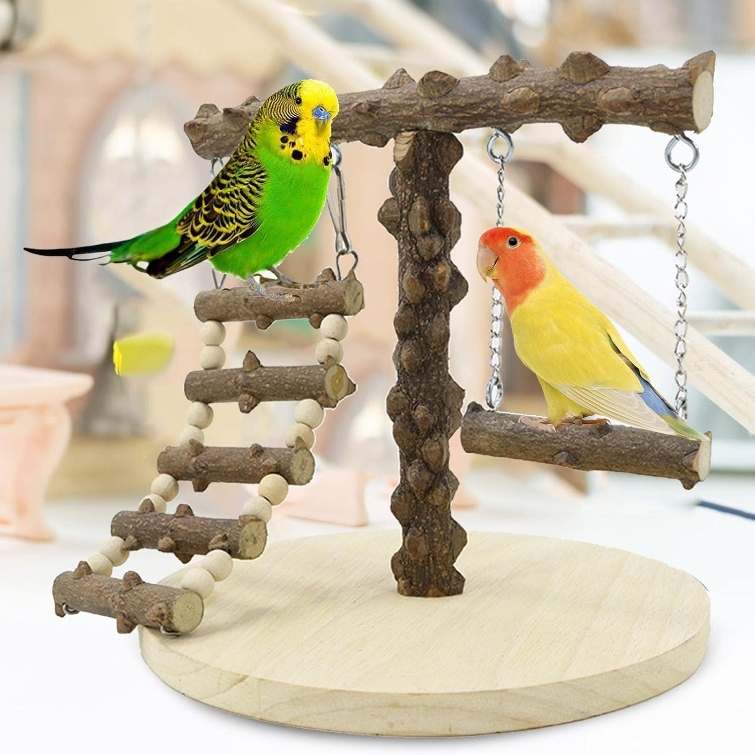 Parrot Play Stand Small, Bird Playground, Training Stand with Ladder and Swing Cockatiel Playground for Pet Bird