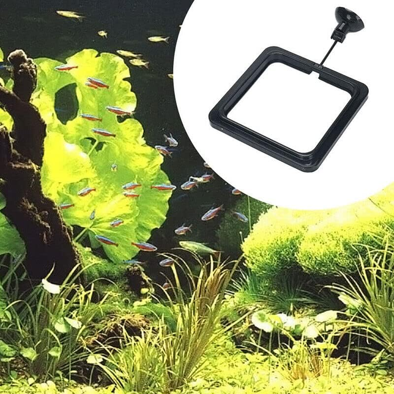 AIMALL Fish Feeding Ring with Adjustable Suction Cup for Aquarium Food Floating Square and round Feeder image number 4