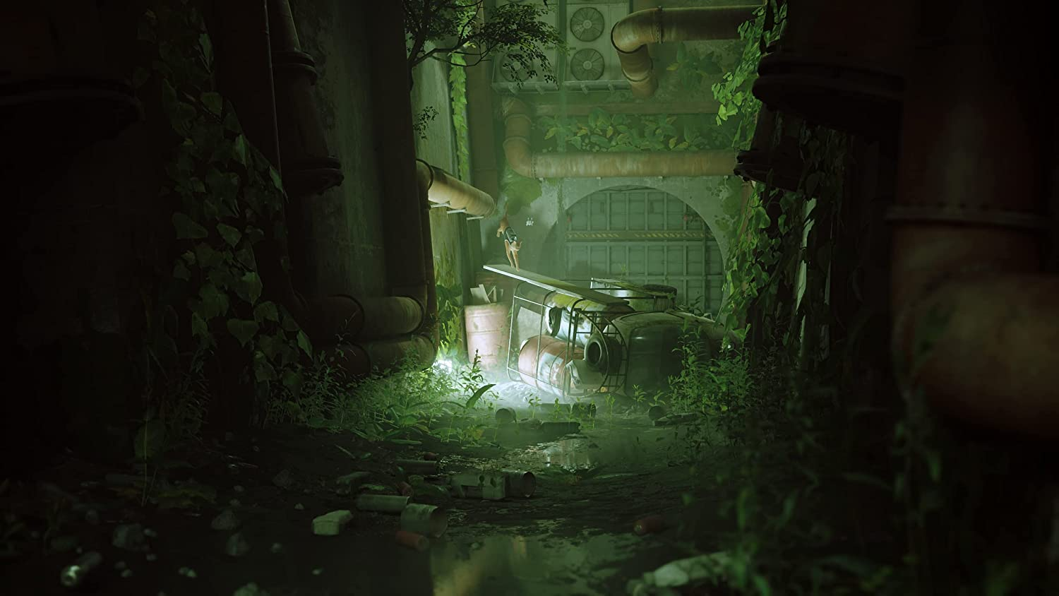 Stray ( Import) /PS5 image number 1