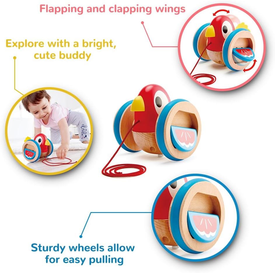 Hape Pull along Bird Outdoor Learning Activity Kids/Toddler Fun Play Toy 12M+