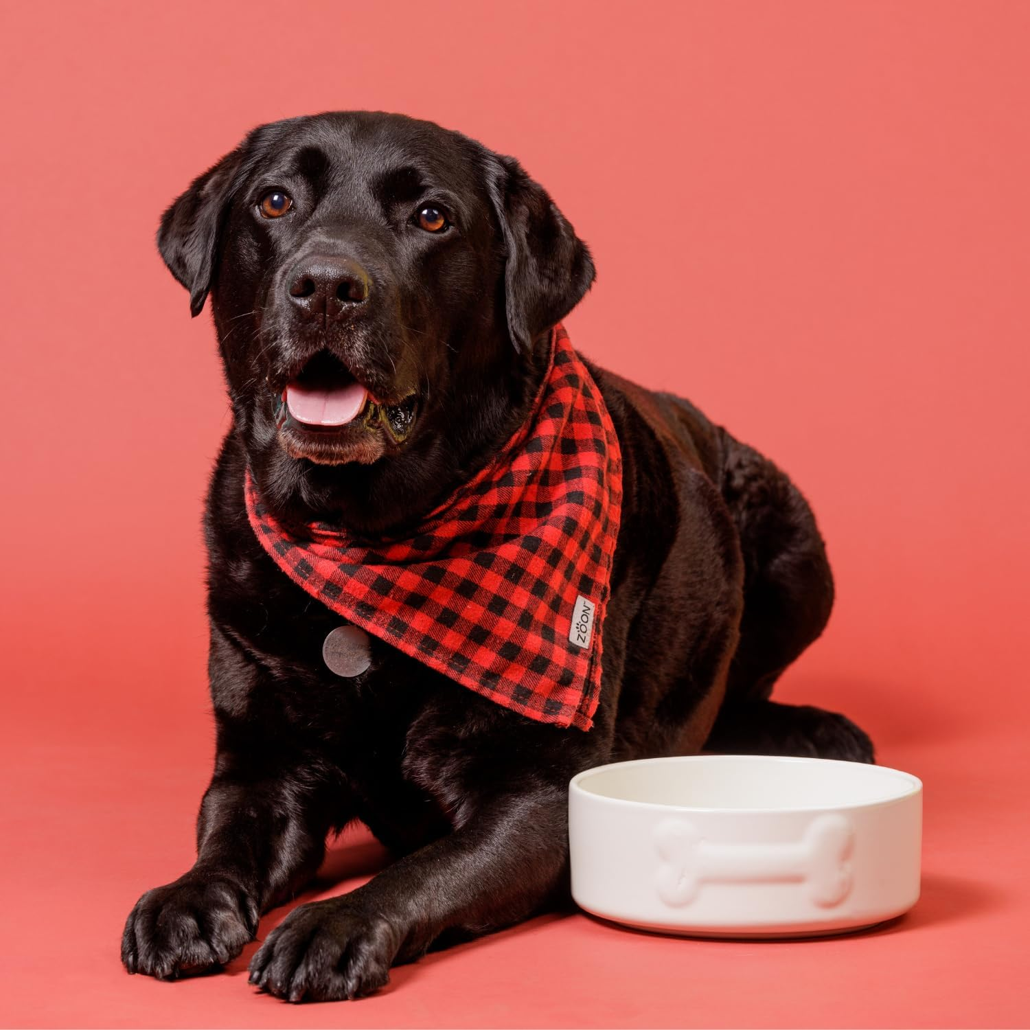 Mason Cash Ceramic Bowl for Dogs and Cats, 20 Cm, Cream image number 6