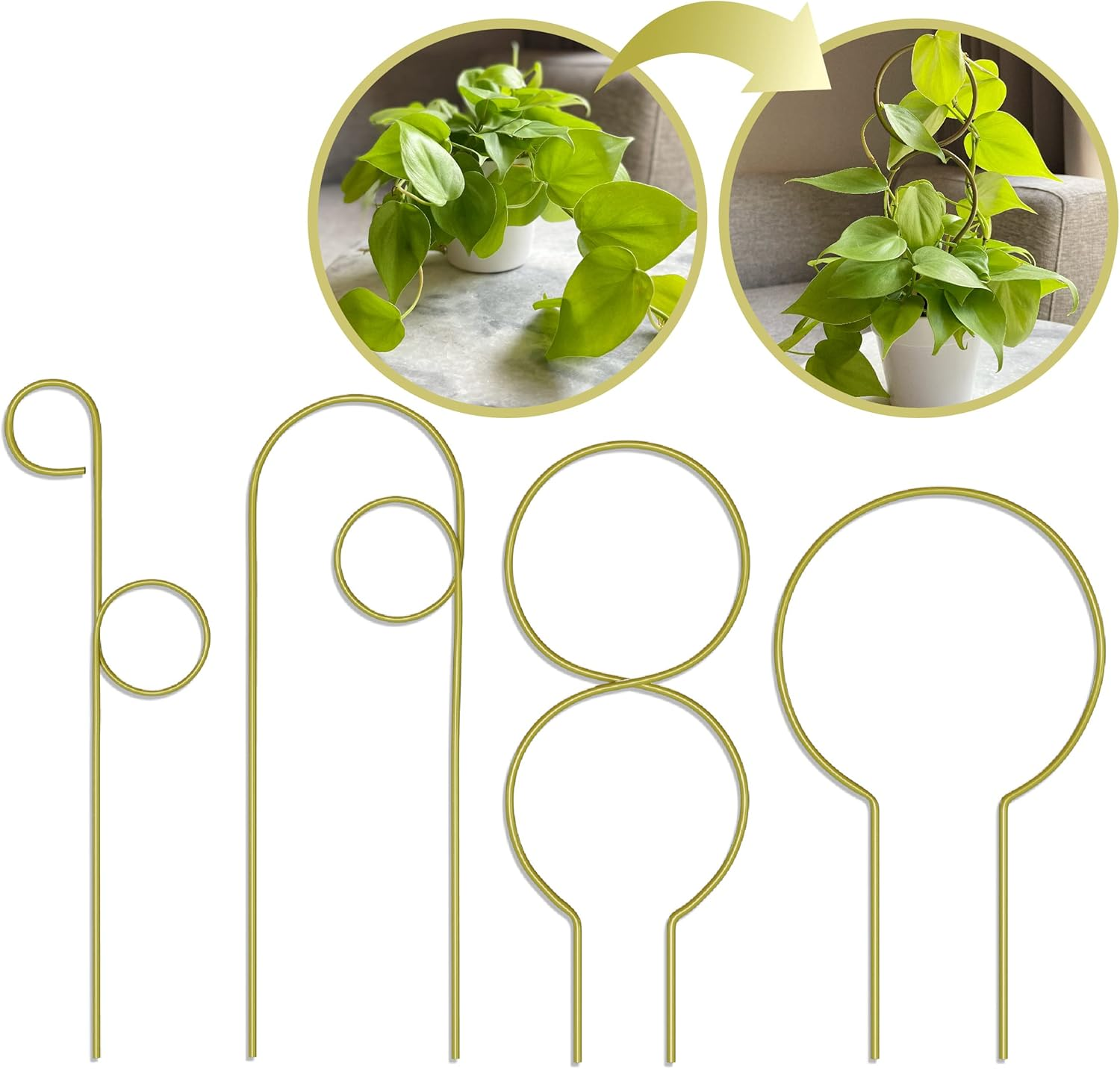 LOOPSEED Small Metal Trellis for Indoor Plants Metal Plant Stake for Climbing House Plants Plant Support for Potted Plants Orchids, Monstera, Pothos, Ivy, Hoya, Philodendron Set of 4 (Brushed Gold)