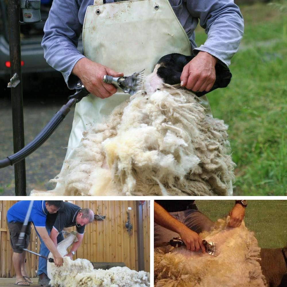 Sheep Shears Blades 9-Tooth Wool Shearing Comb and Cutter Blade Set for Alpaca Goats Wool Cutter Grooming Trimmer(9T Scimitar+Front Blade) image number 2