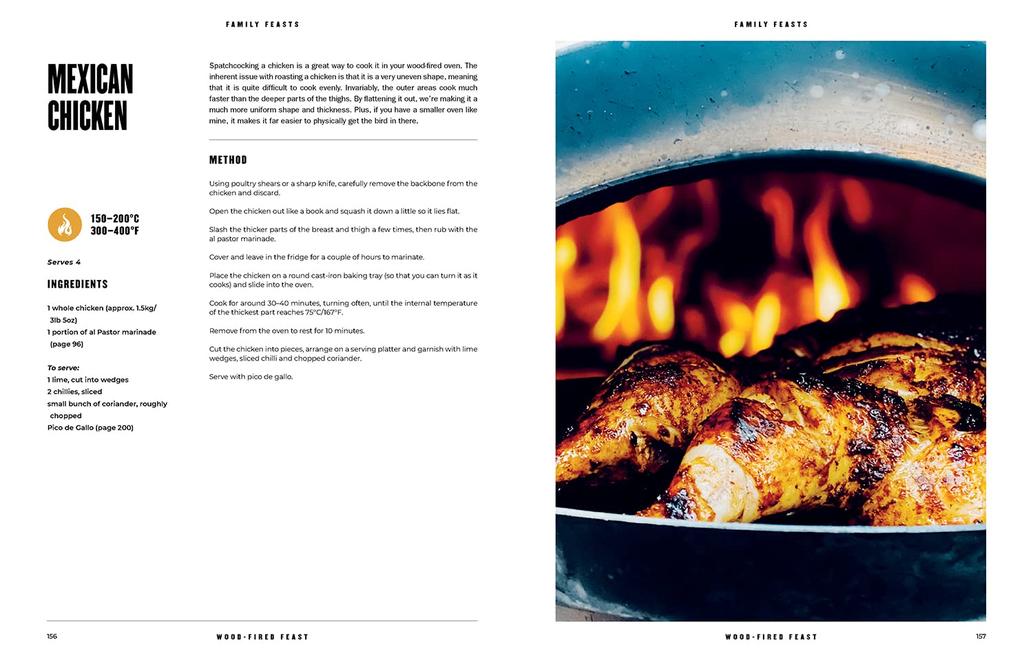 Wood Fired Feast Cookbook: 100 Recipes for Cooking with Fire: over 100 Recipes for the Wood Burning Oven image number 1