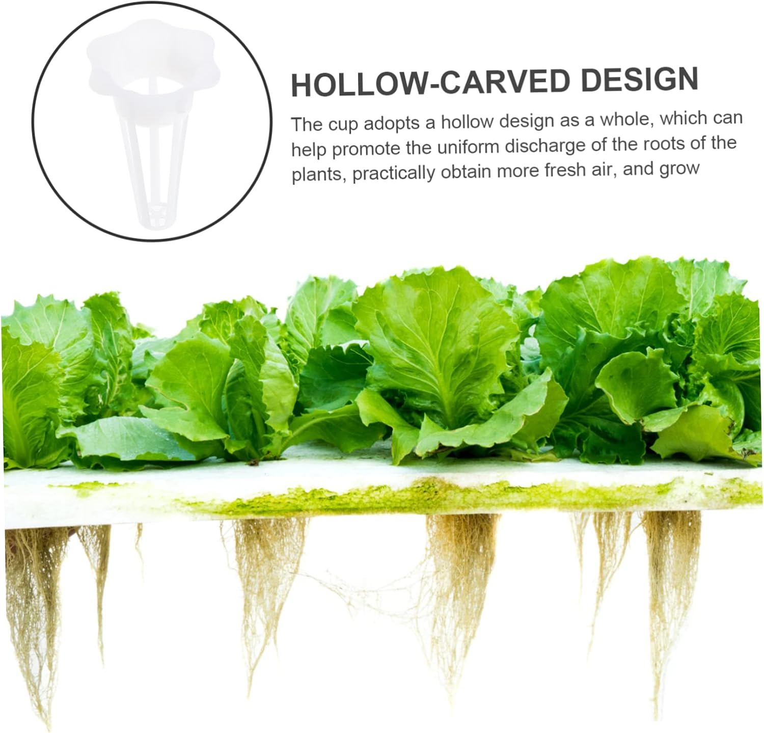 CIMAXIC 50Pcs Plastic Planting Basket Hydroponic Basket for Soilless Planting Cup Garden Supplies for Seedling Pots and Hydroponic System Use