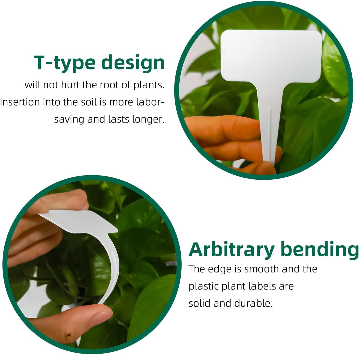 100Pcs T-Type Plant Tags，Waterproof Thick Plastic Plant Makers，6 X10Cm Nursery Garden Labels(Multicolor) (SZ-BC610T) image number 1