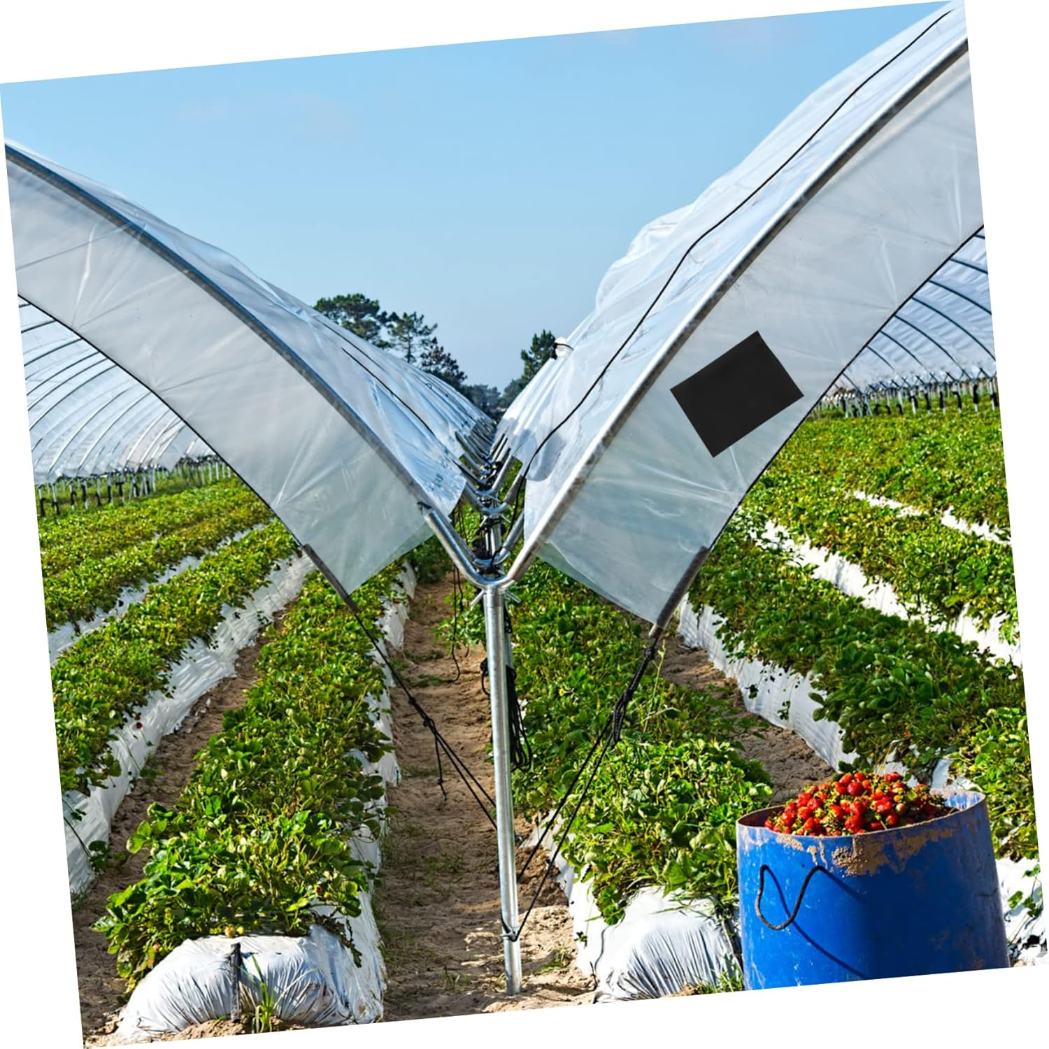 Tofficu 2Rolls Agricultural Repair Tape Greenhouse Film Cover Patch Self-Adhesive image number 1