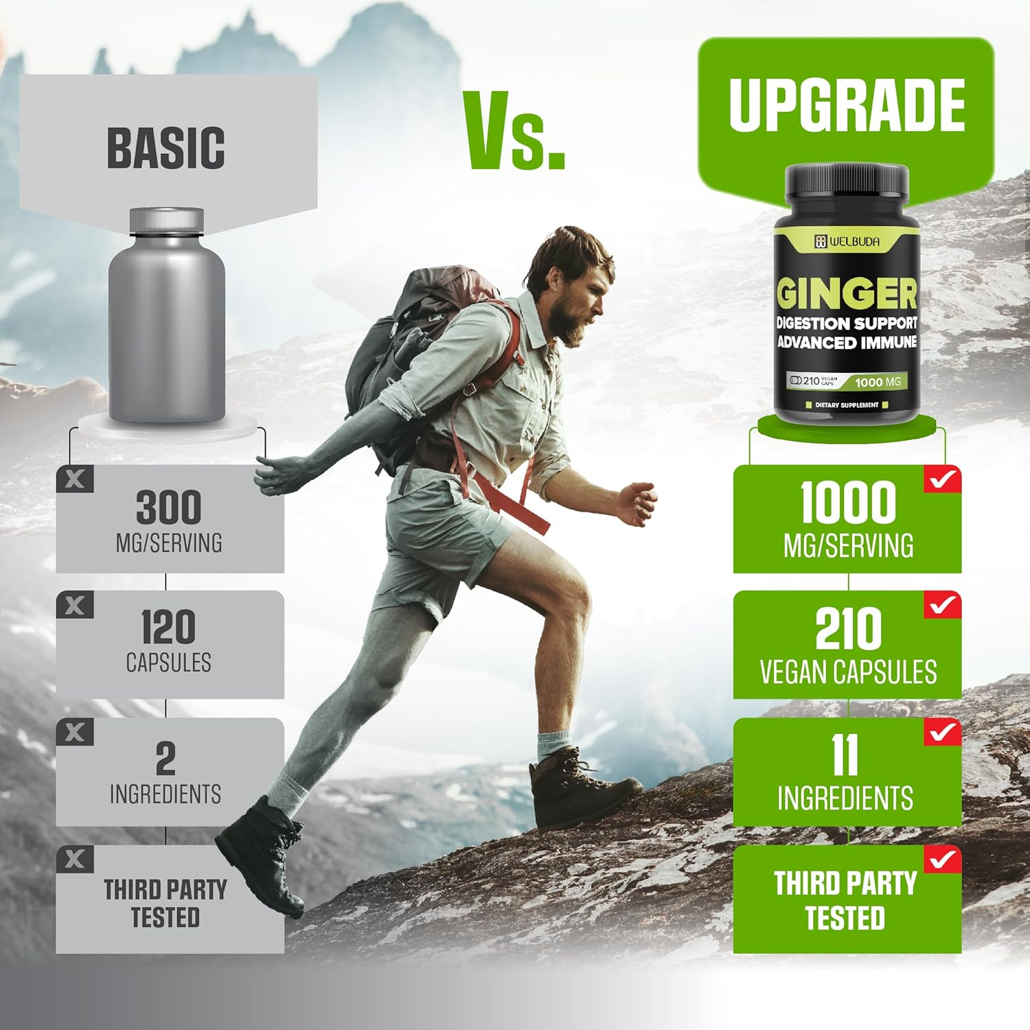 1000Mg Ginger Supplements Capsules with Berberine Hcl, Elderberry, Echinacea & More - 11In1 Support Digestion, Joint Health, Immune System, and Heart Health - 210 Ginger Pills image number 5