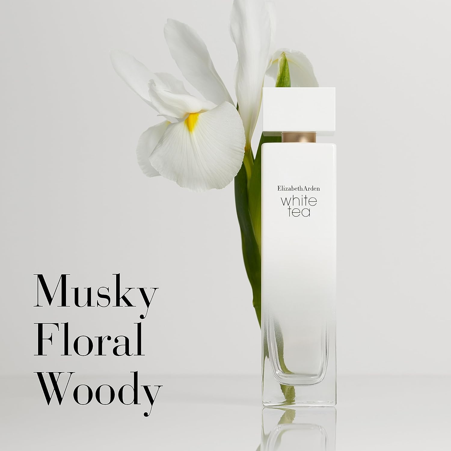 White Tea by Elizabeth Arden for Women - 2 Pc Gift Set 3.3Oz EDT Spray, 13.5Oz Body Cream image number 5