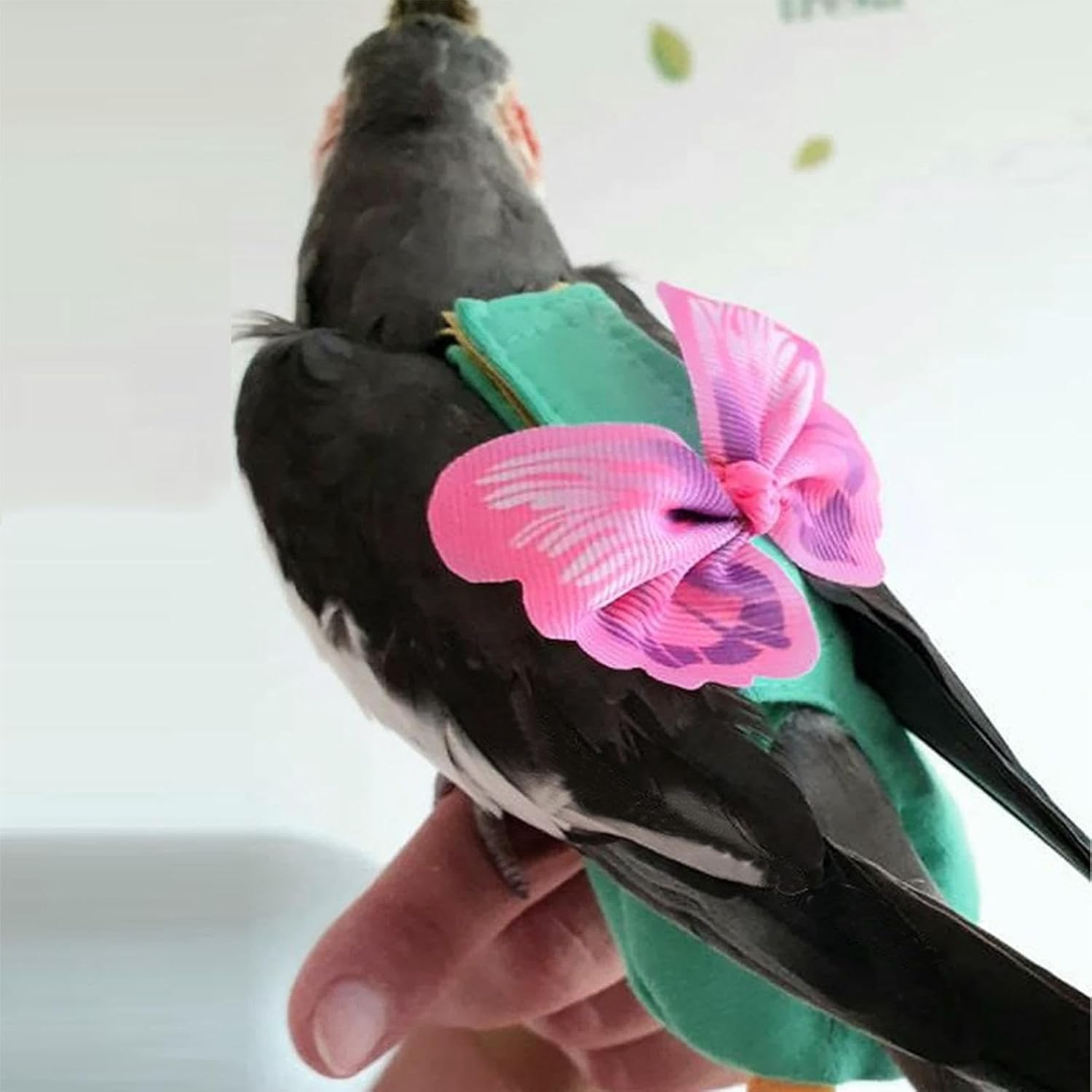 Bird Harness | Soft Bird Diapers Suite | Pigeon Pants for Small Medium Birds Parakeets Parrot Cockatiel, Bird Diapers for Parrots, Bird Clothes Pochy - M image number 6