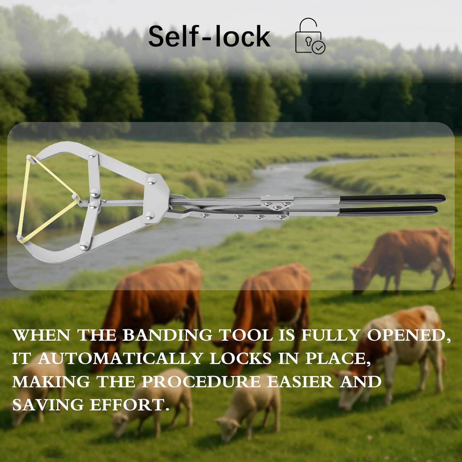 Extra Large Stainless Steel Banding Tool for Livestock Management for Bulls, Calves, Goats, Sheep image number 5