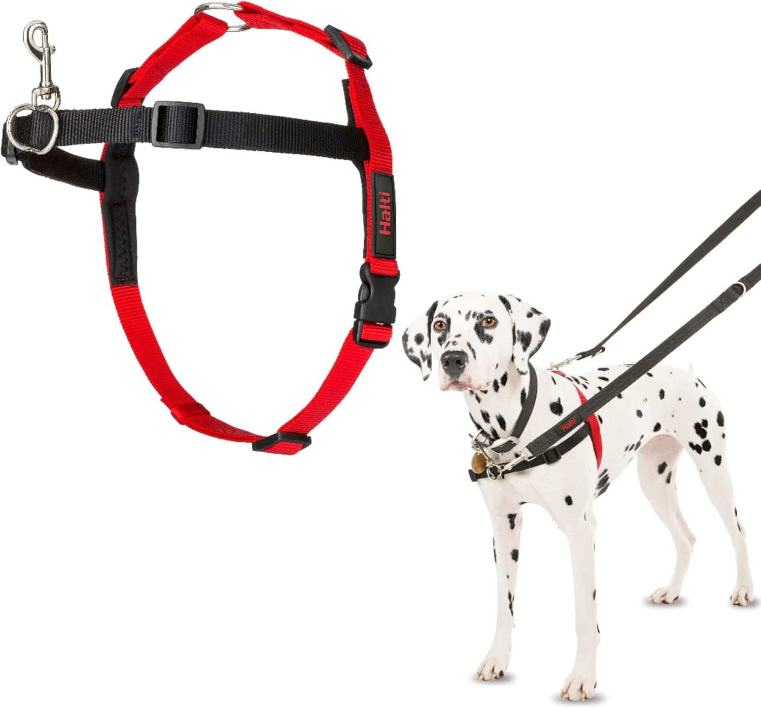 Company of Animals 42331 Halti Harness for Dogs, Medium, Black/Red image number 6