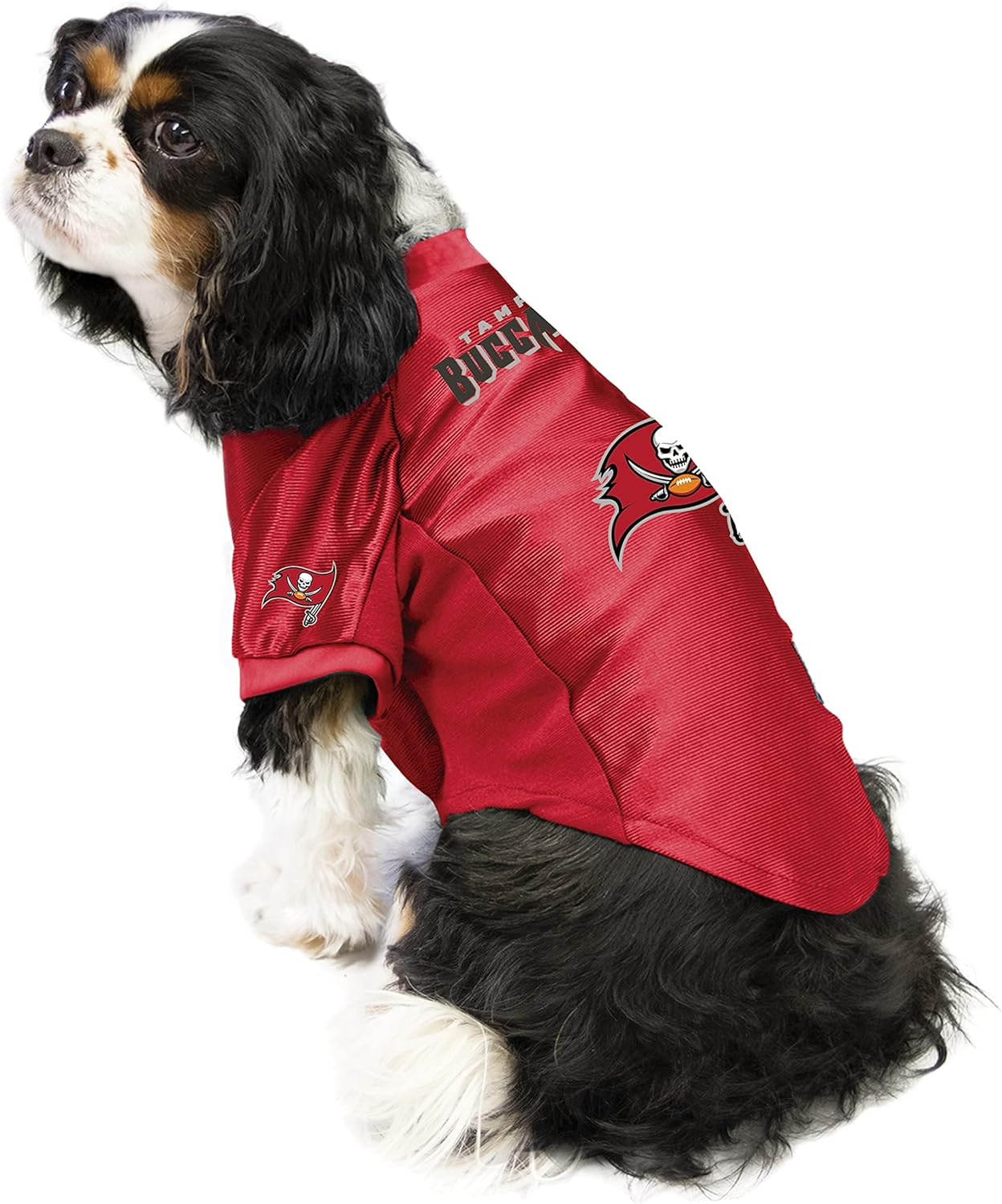 Littlearth NFL Unisex NFL Tampa Bay Buccaneers Pet Stretch Jersey image number 6