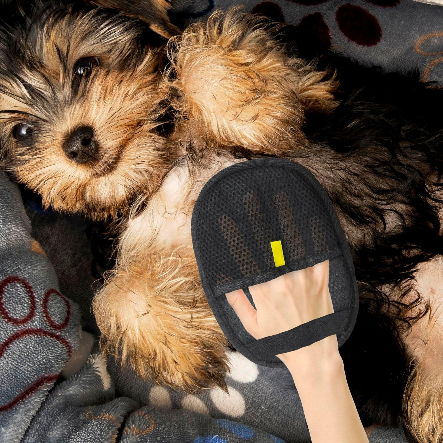 ALLY-MAGIC E25-WZCWCMST Pet Hair Remover Glove for Dogs and Cats image number 2