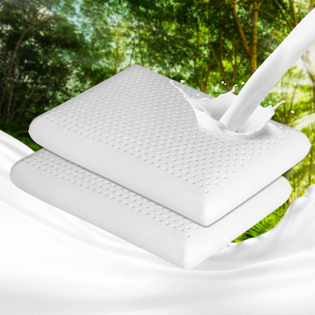 Dreamz Luxurious Soft Memory down Natural Latex Pillow Removable Cover, 2 Piece image number 1