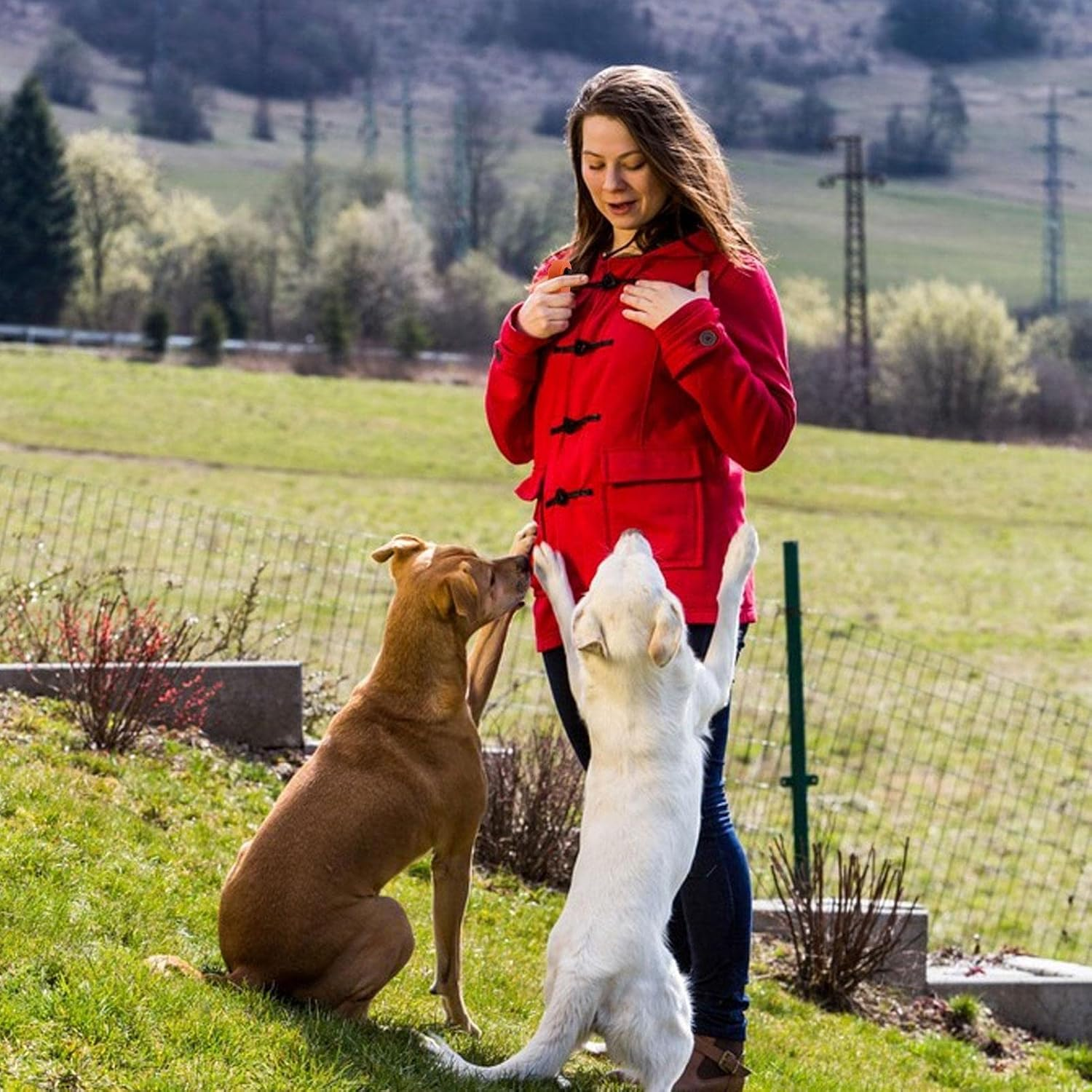 Pet Clicker Trainer | Positive Reinforcement Tool | Cat Training Clicker | Durable Lightweight Pet Training Cliker | Easy to Use for Cats, Puppies, Birds, Horses, Behavioral Trainng image number 4