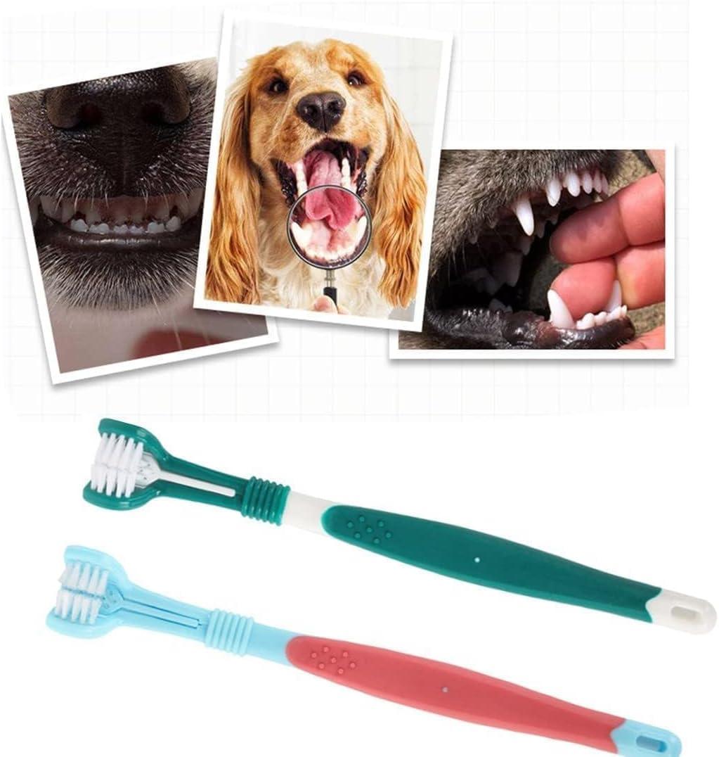 4 Pcs Dog Toothbrush,Dog Toothpaste and Brush Kit, Dog Teeth Cleaning, Pet Toothbrush, 2 Triple Head Dog Toothbrushes and 2 Long Handle Dog Toothbrushes, Toothbrush Dog for Dogs and Cats