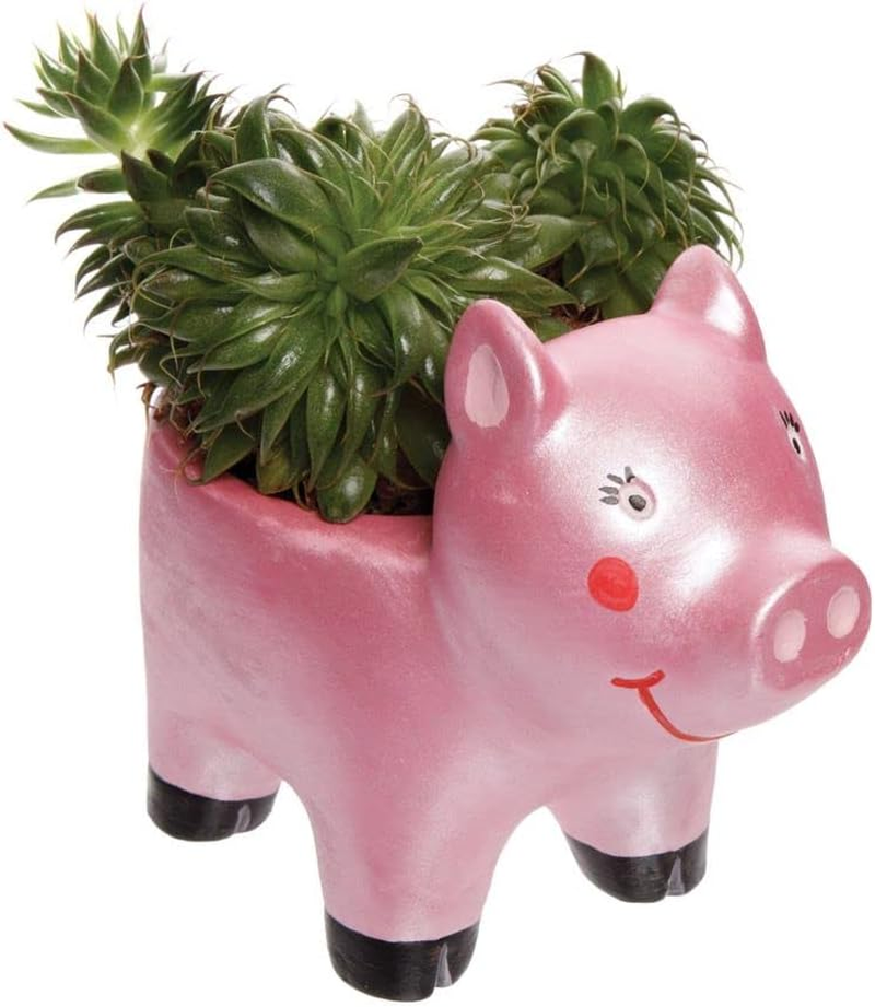 Baker Ross FE548 Farm Animal Ceramic Flowerpots - Box of 3, Paintable Creative Art and Craft Projects for Kids to Make, Personalise and Decorate