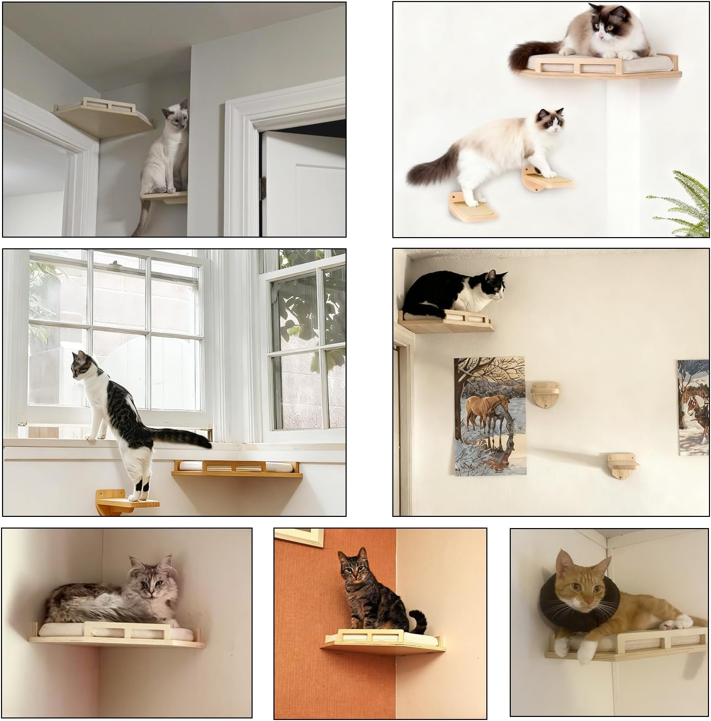 Cat Wall Shelves - Contemporary & Sturdy 3-Tier Wall-Mounted Cat Furniture with Cozy Perch - Space-Saving Birch Floating Shelves for Pets up to 15Lbs - Premium Natural Wood Design image number 2