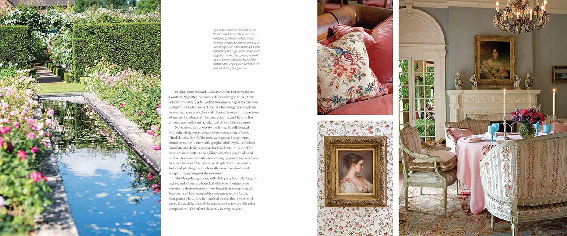 Our Hearts Are in England image number 3