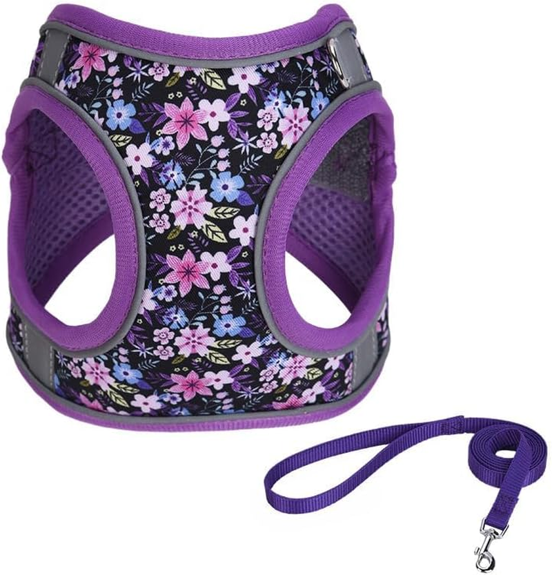 S Peach Flower Pattern Dog Harness and Leash Set,No Escape Easy Walk Puppy Harnesses for Training Walking，Breathable Adjustable Puppy Vest for Small Medium Dogs, Cats (Peach, S)
