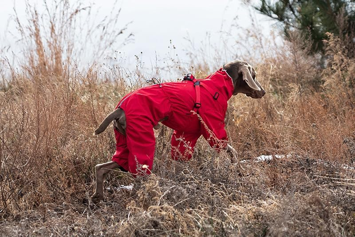BT Bear Dog Harness Raincoat,Adjustable 4 Legs Dog Jacket with Harness Reflective Jumpsuit Waterproof Coat for Medium Large Dogs,Red 4XL image number 4