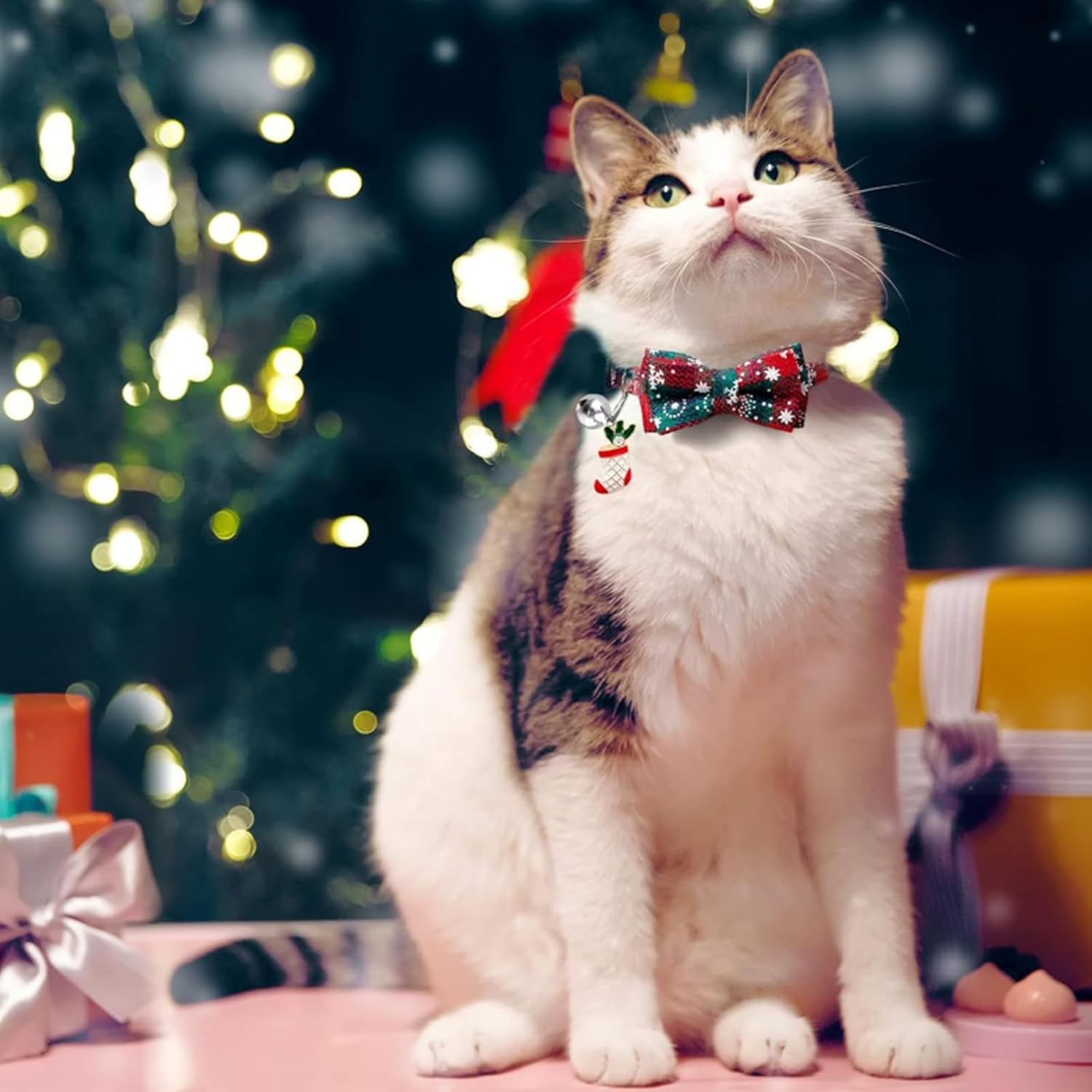 2 X Pet Christmas Accessories Santa Pet Bow Tie Christmas Tree Pet Bow Tie Stocking Pet Bow Tie for Pet Owners Dog Friends Cat Lovers Animal Lovers (Socks Gloves) image number 5