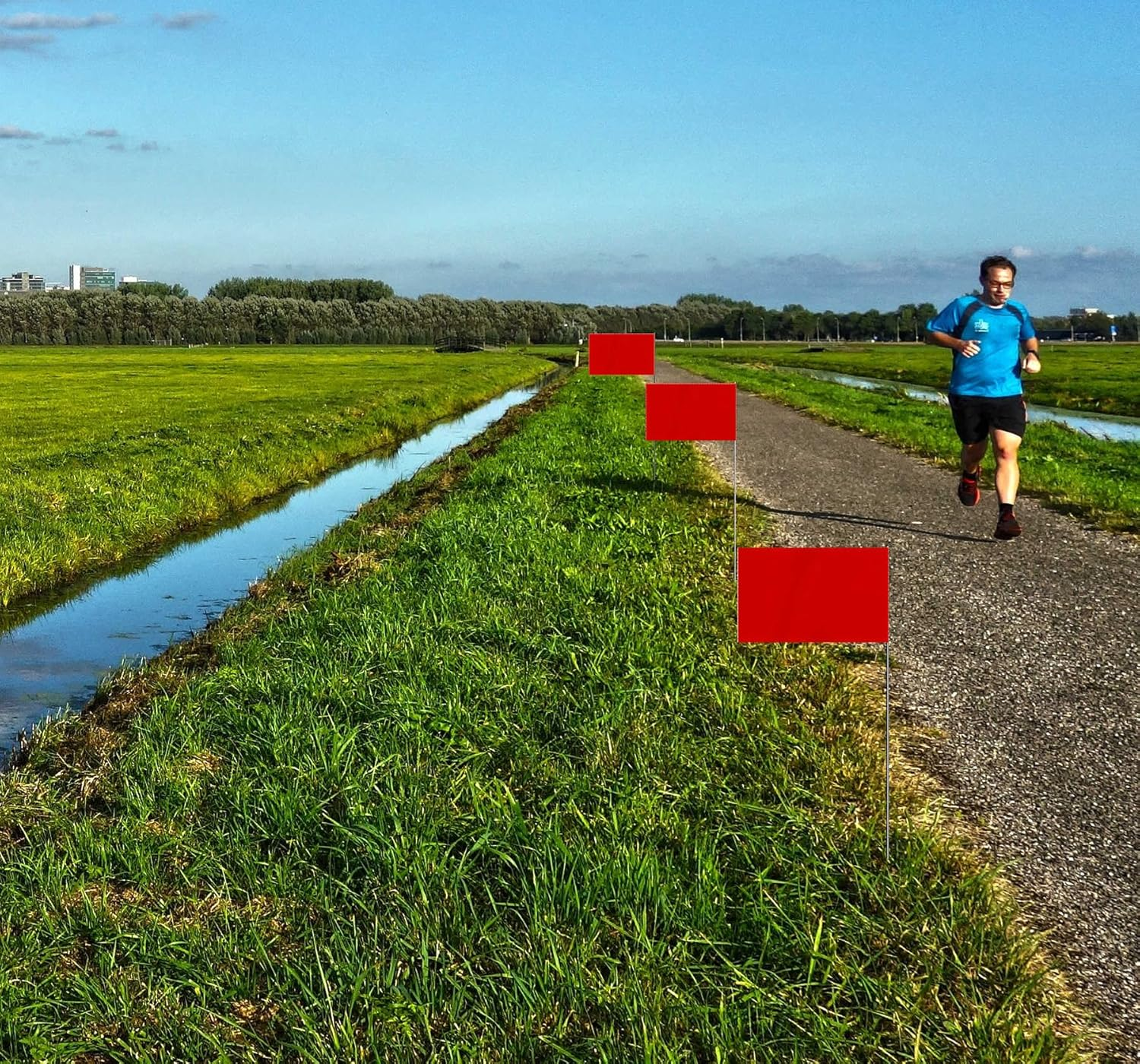 35 PCS Red Small Flag,15 Inch Steel Flagpole Mini Flag,Ground Marking Flags Decor,Petit Drapeau image number 1