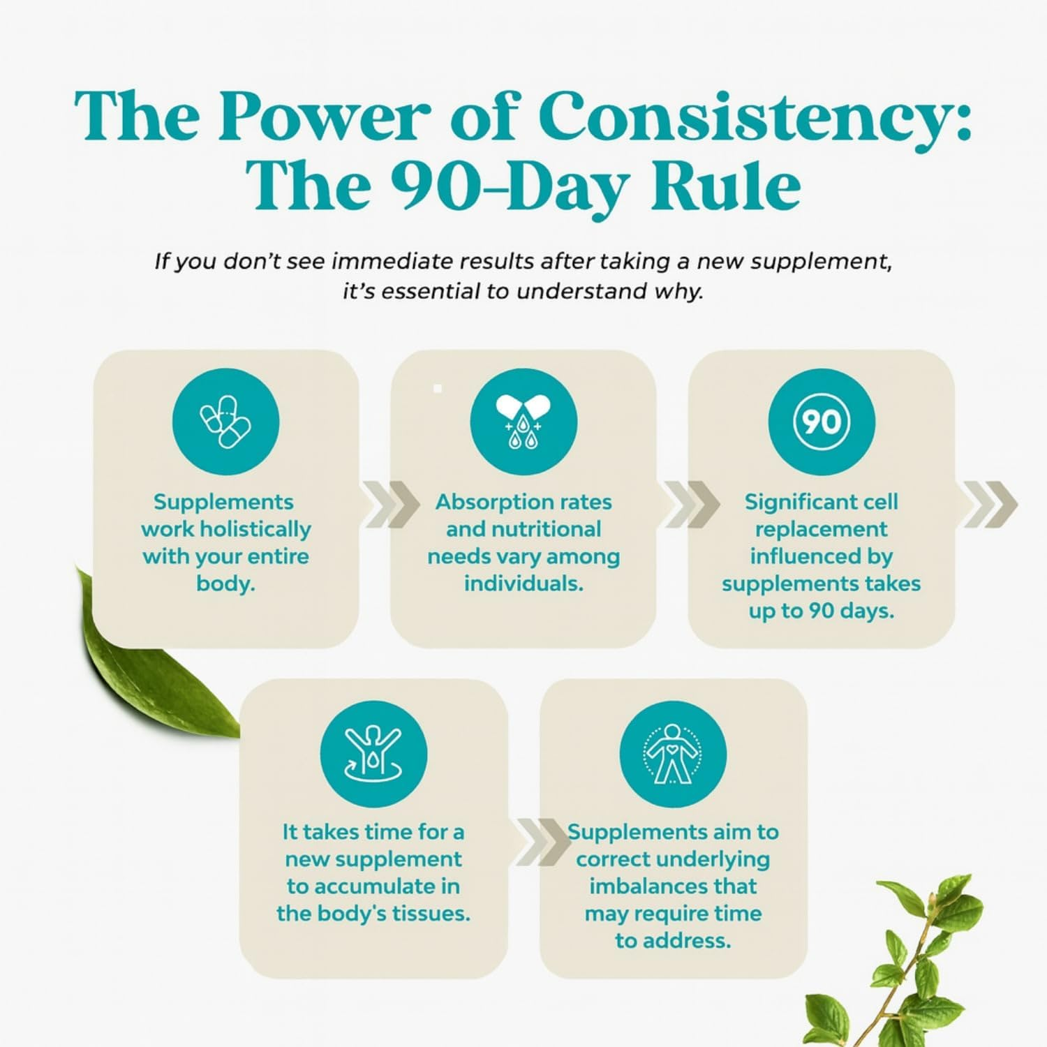 Innerfresh | Natural Deodorant Alternative for Body Odour | Parsley, Chlorophyll & Mint | Plant-Based Freshness Supplement | 30 Vegan Capsules image number 5