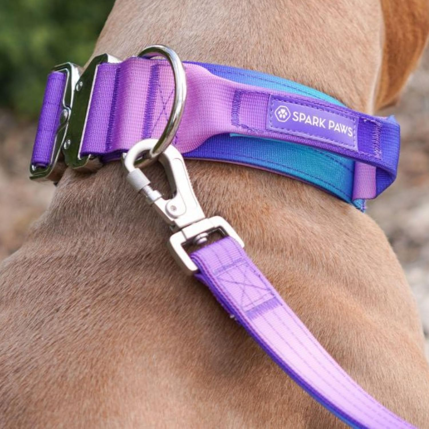 Spark Paws Tactical Dog Collar - Premium Quality Collar for Your Canine Companion - Gradient Blue Purple &ndash; Size S (5Cm) image number 5