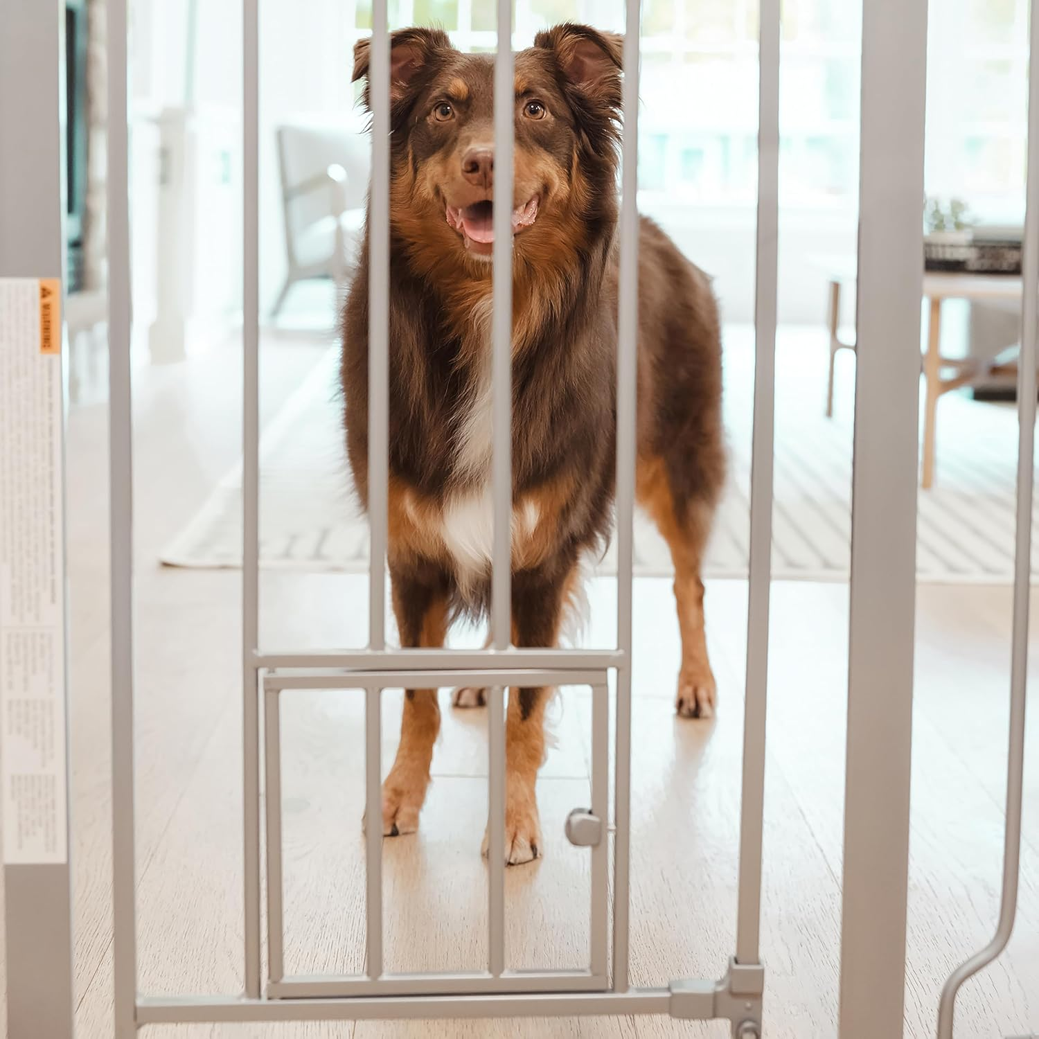 Carlson Extra Tall Walk through Pet Gate with Small Pet Door, Includes 4-Inch Extension Kit, 4 Pack Pressure Mount Kit and 4 Pack Wall Mount Kit, Platinum, Gray image number 1