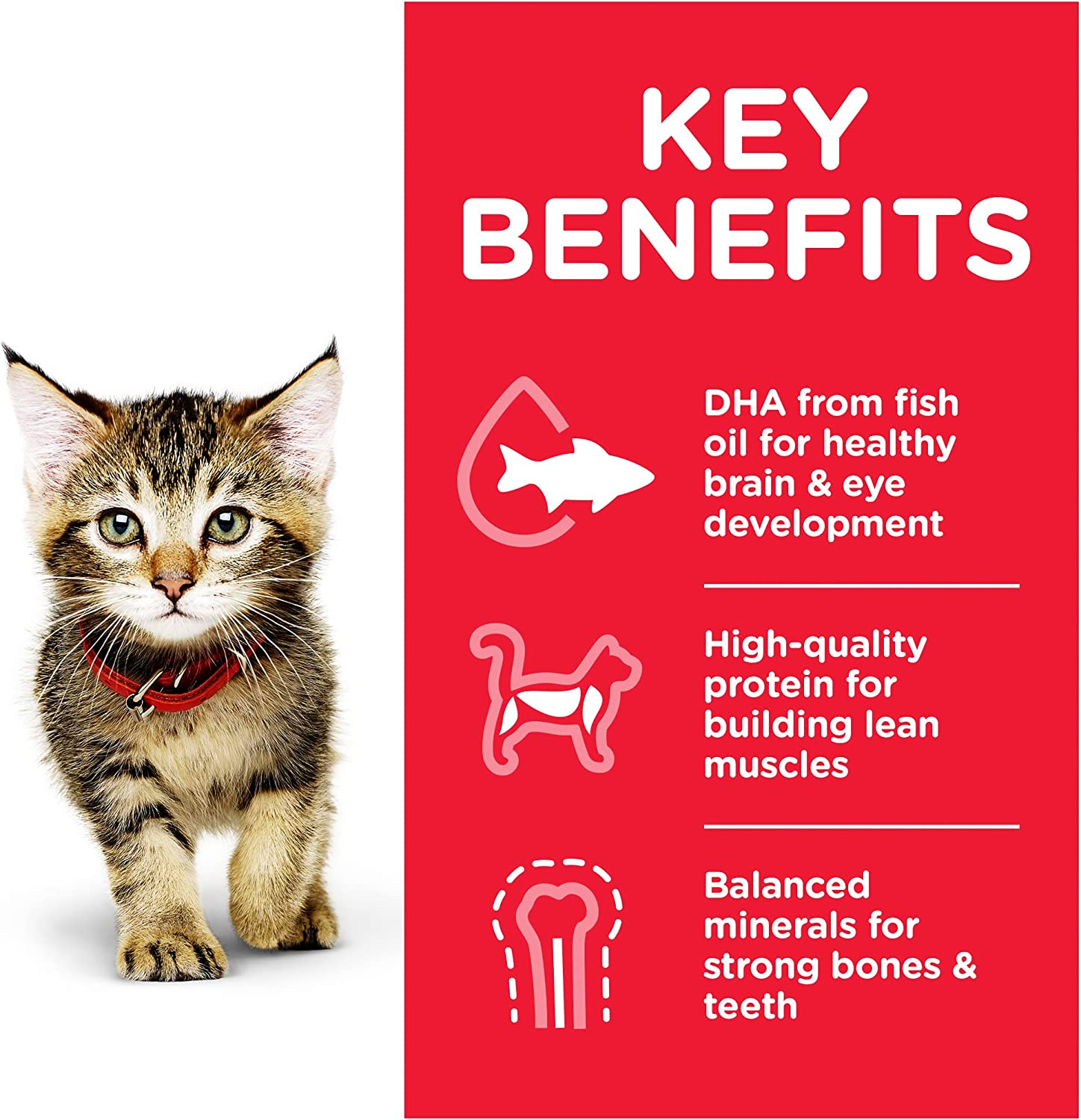 Hill'S Science Diet Kitten Wet Cat Food, Chicken, 85G, 12 Pack, Cat Food Pouches image number 1