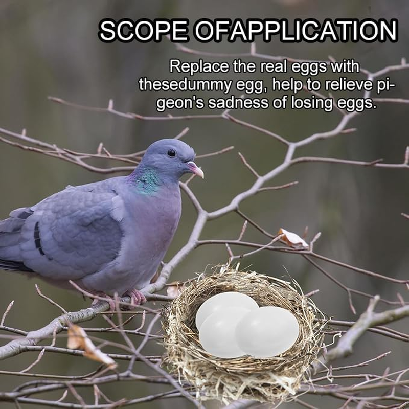 WEZCHUGHAOL 10 Fake Bird Eggs, Pigeons That Have Stopped Laying, Spotted Pigeons, Grey Parrots, and Wren Brother ，Easter Bird Eggs image number 5