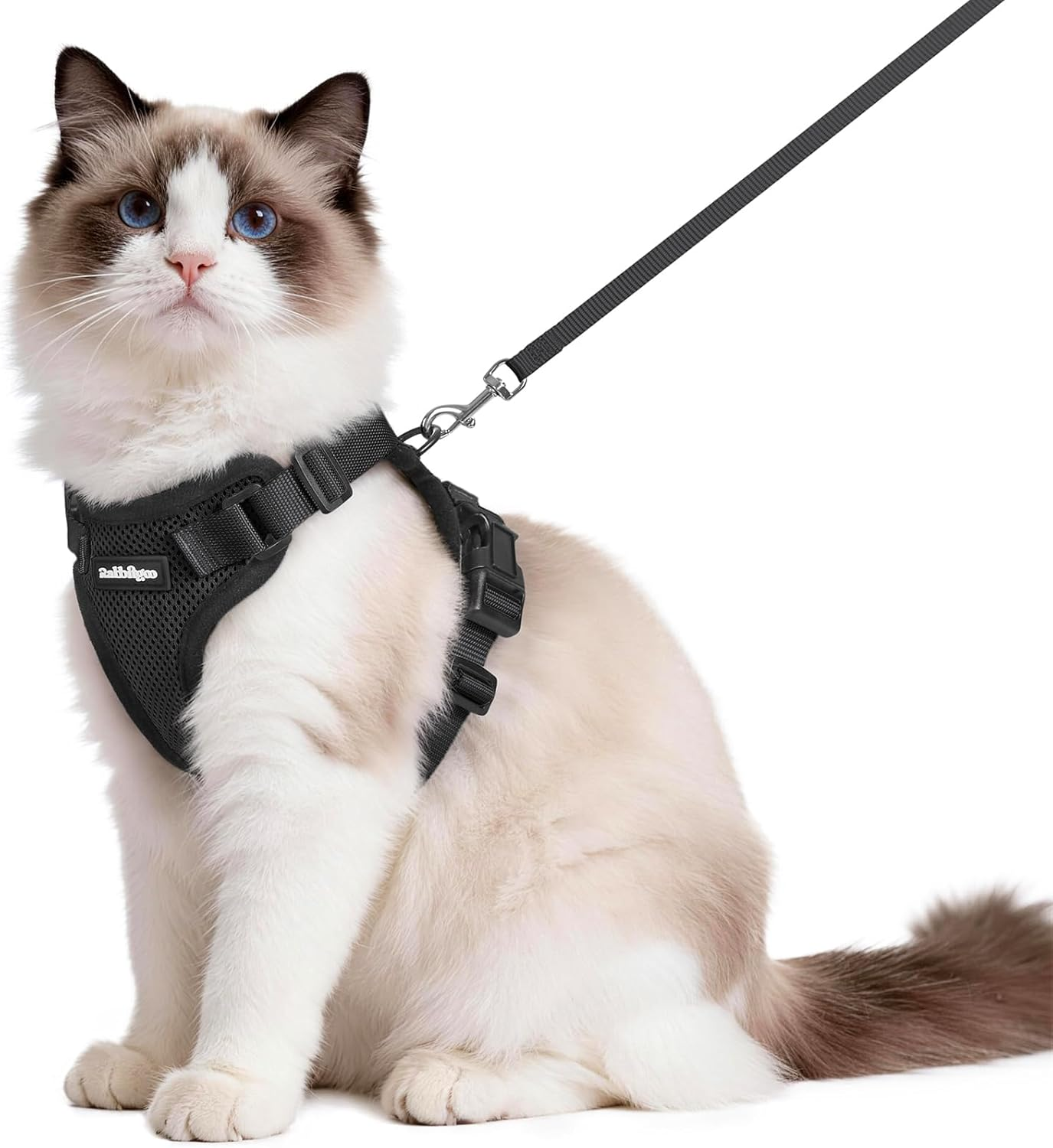 Rabbitgoo Cat Harness and Leash for Walking, Escape Proof Soft Adjustable Vest Harnesses for Cats, Easy Control Breathable Reflective Strips Jacket,Pink, XS